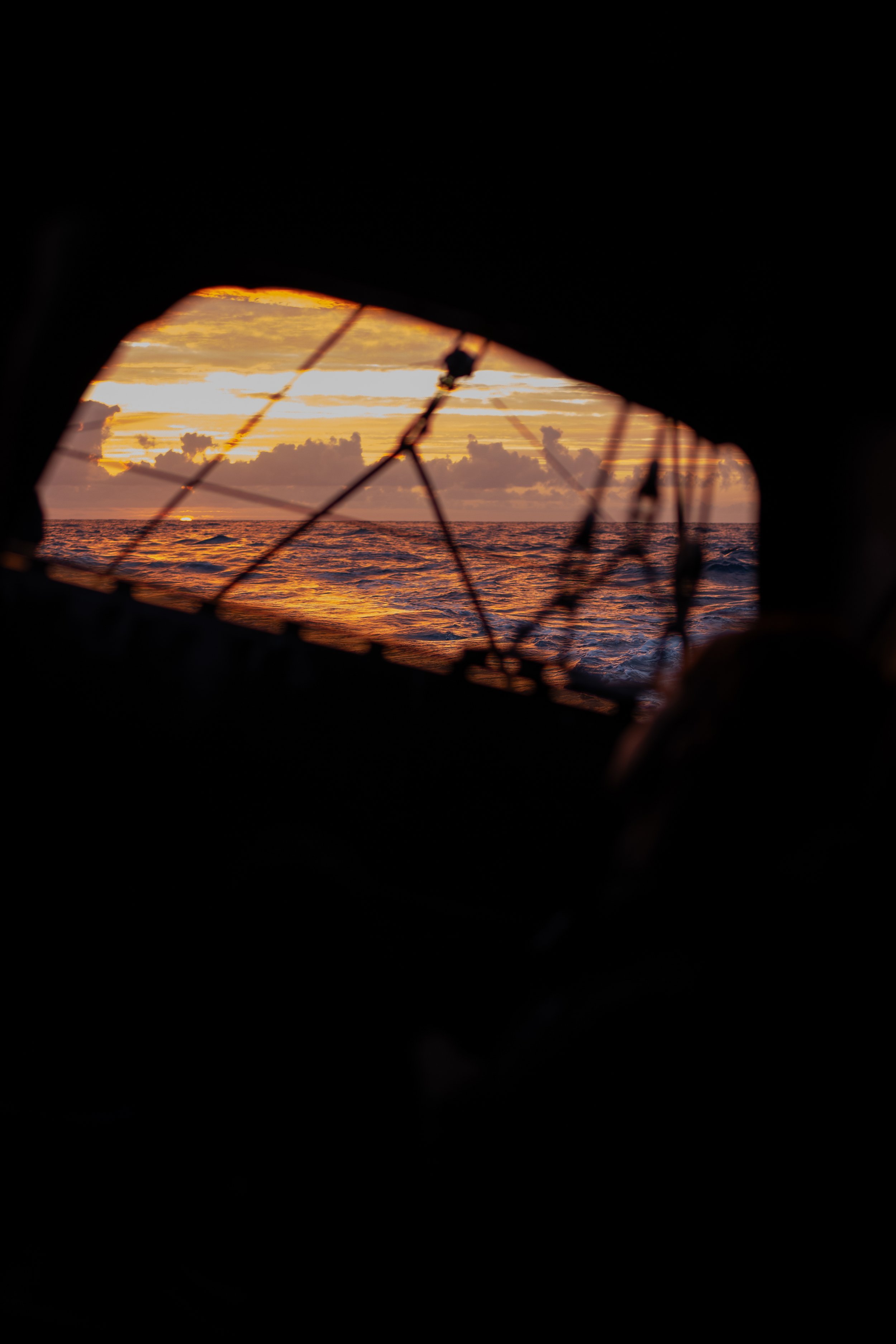 TORE_02_02_250820_COB_TAR_PHOTOS46 2.JPG