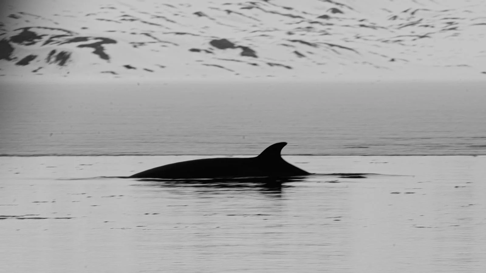 a2d52139-9888-454a-afa3-53c15f91475a 2.JPG