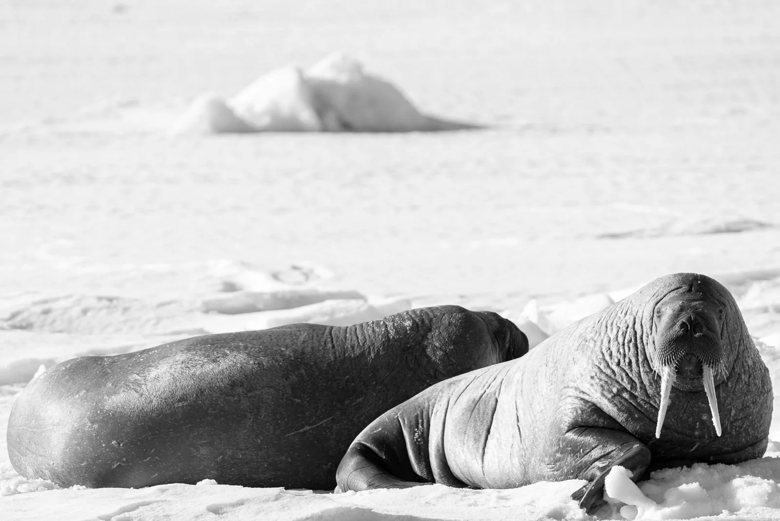 a3594153-95ee-4fd3-896a-8cac37ae3836 2.JPG