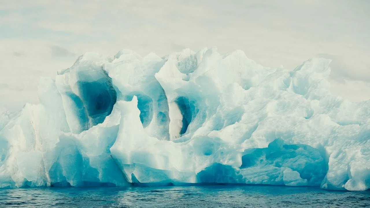 56ee4028-fdd0-4926-821b-34da61353199 2.JPG