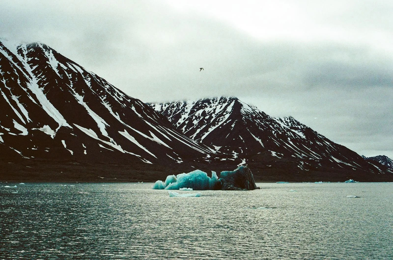 d1a41057-2c9e-4565-a634-ee790d3e32d6 2.JPG