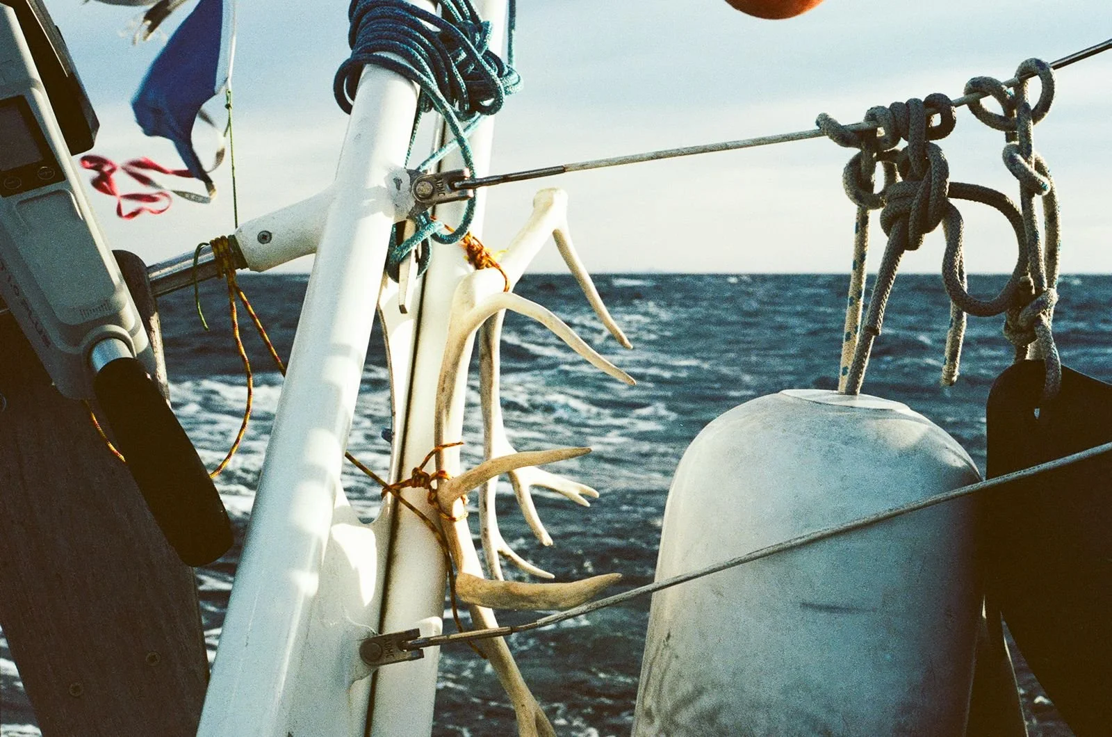 1dde1a22-0ad1-4332-b482-ab8b1d600151 2.JPG