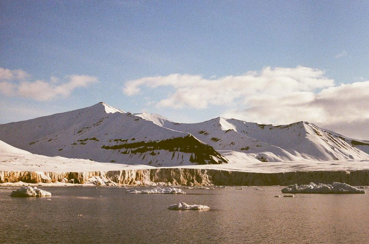 bc65aa5f-c192-4eaa-8b55-fa7111c44c1a 2.JPG