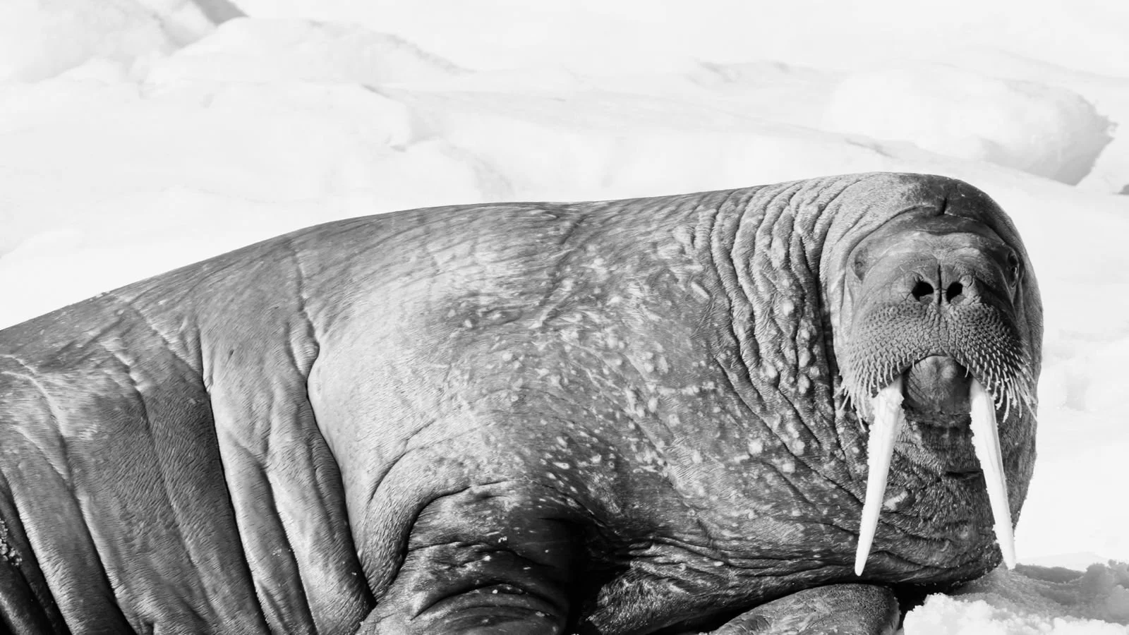 ddcc0388-2532-4e5c-86d2-34bf63d7e5dc 2.JPG