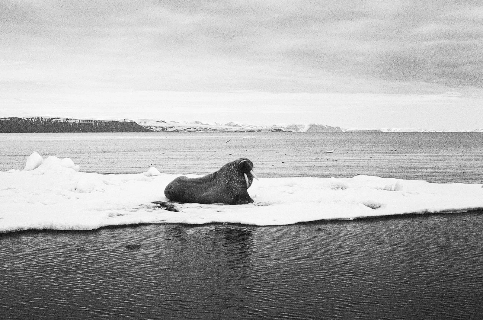 8707a434-d798-4af6-a60d-02ea7e43ae03 2.JPG