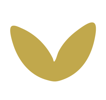 Goldene Blattform auf schwarzem Hintergrund