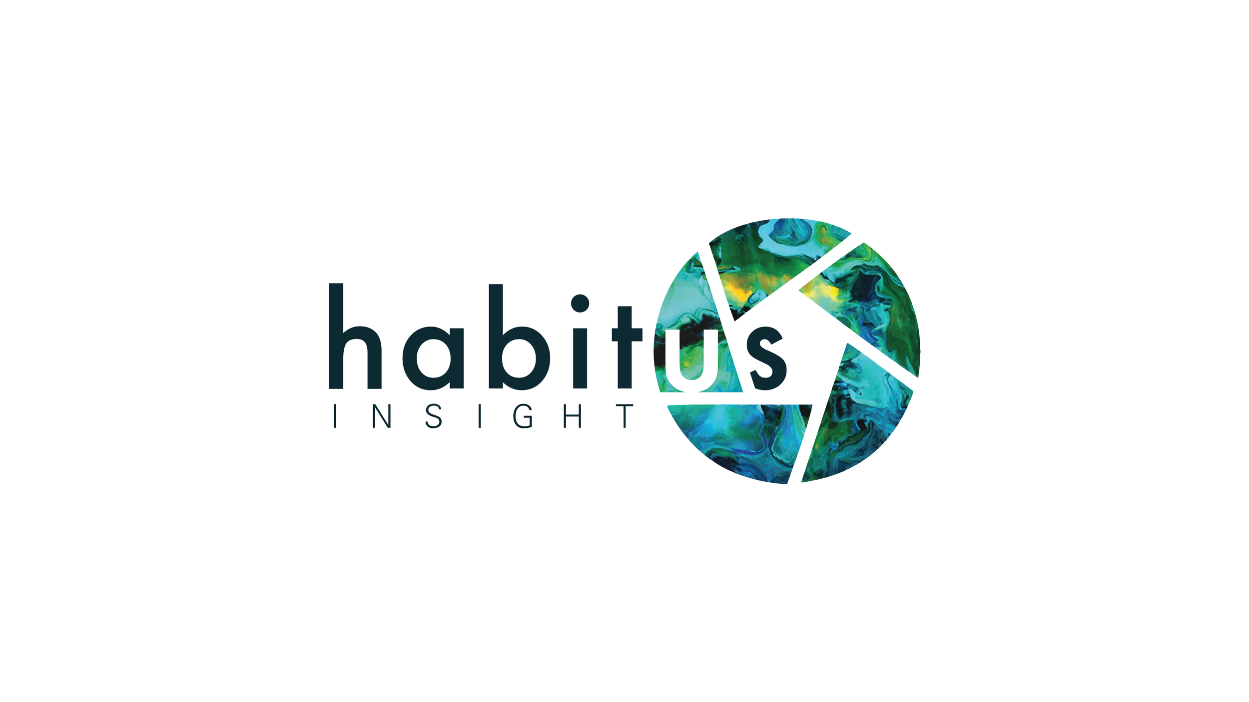 Habitus insight logo, the words habitus insight including a camera shutter with a bokeh painting effect of colors: blue, green, yellow and dark blue on a light background