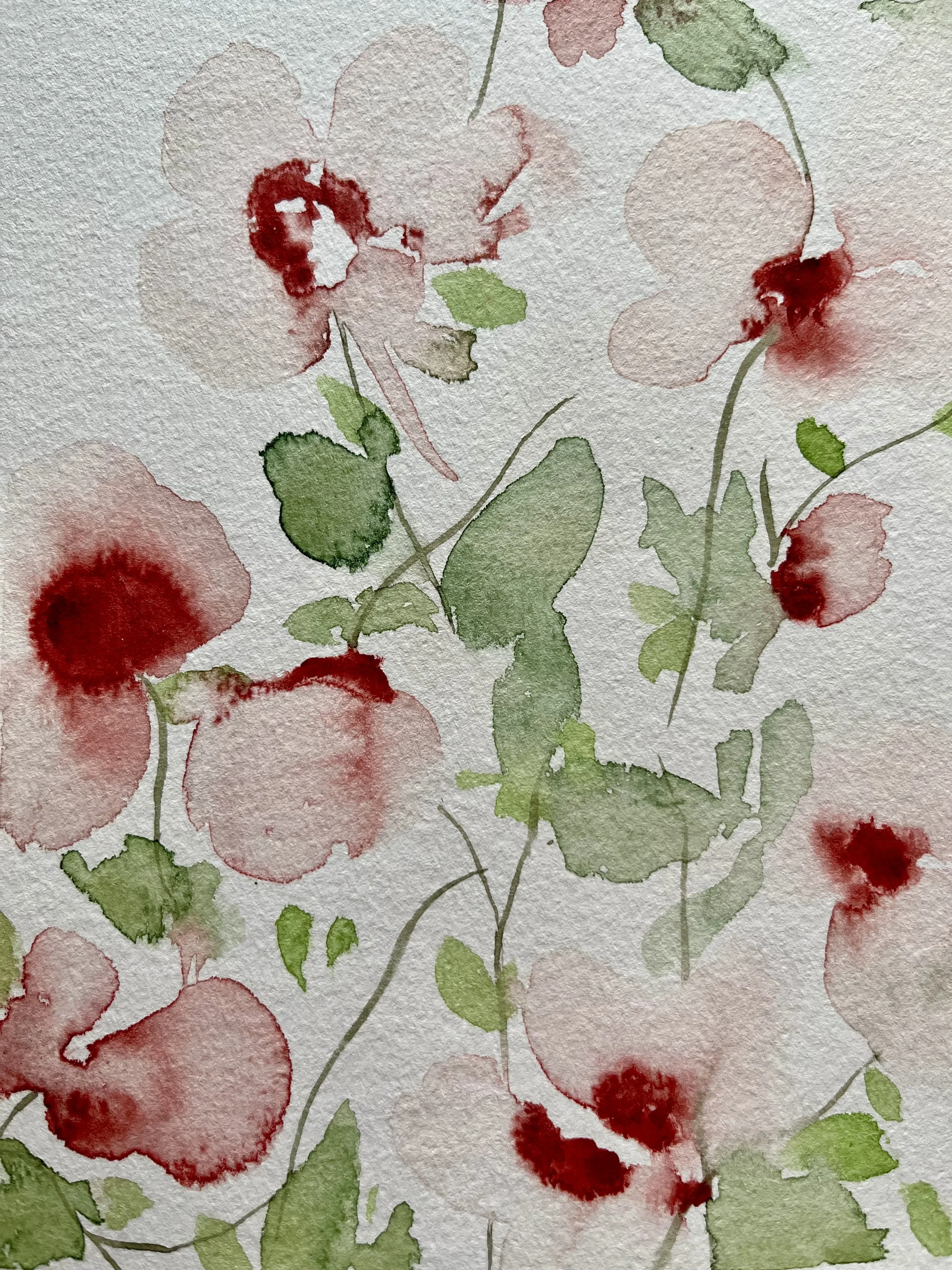 Pétales en transparence