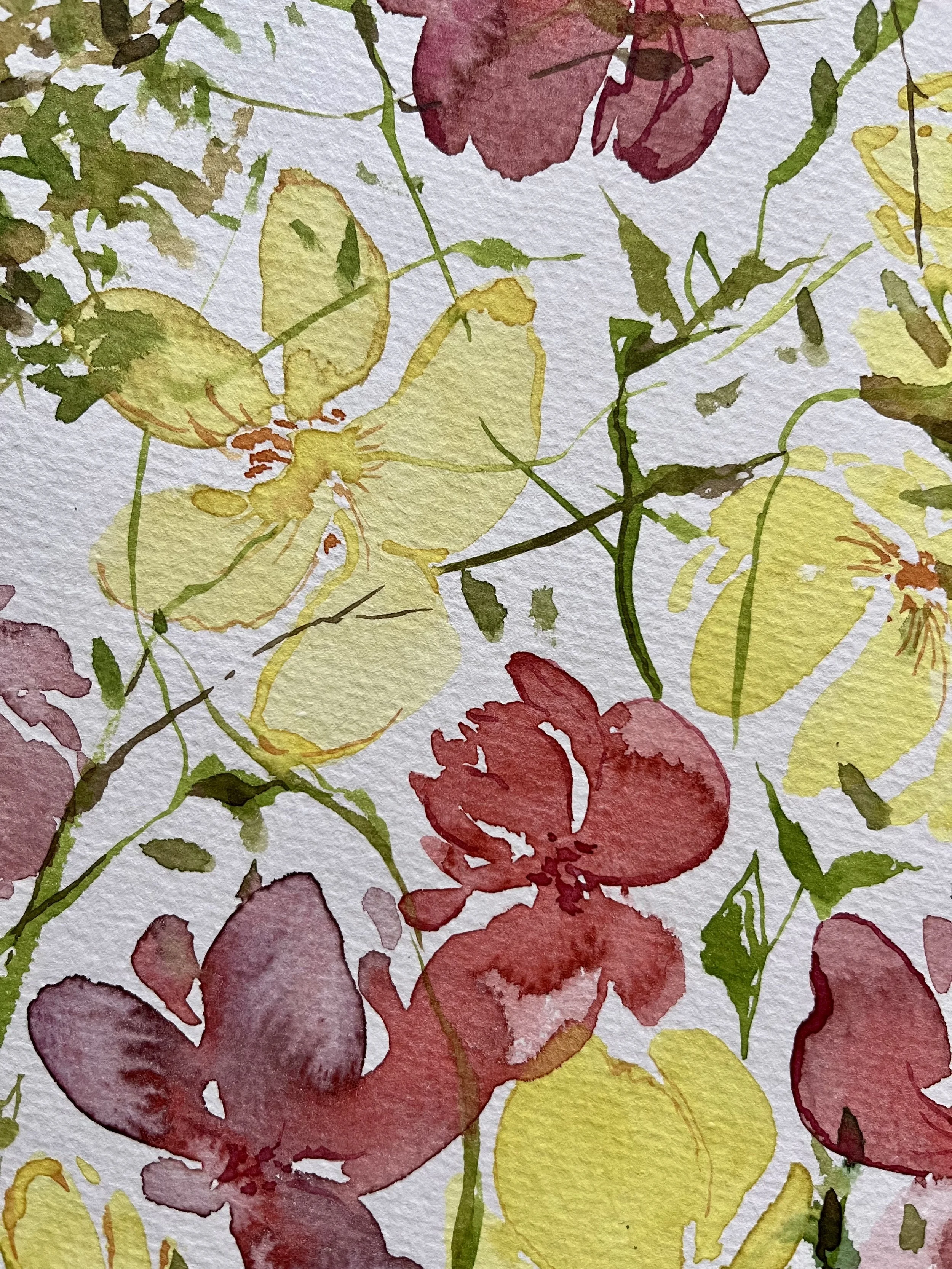 Fleurs jaunes et violettes