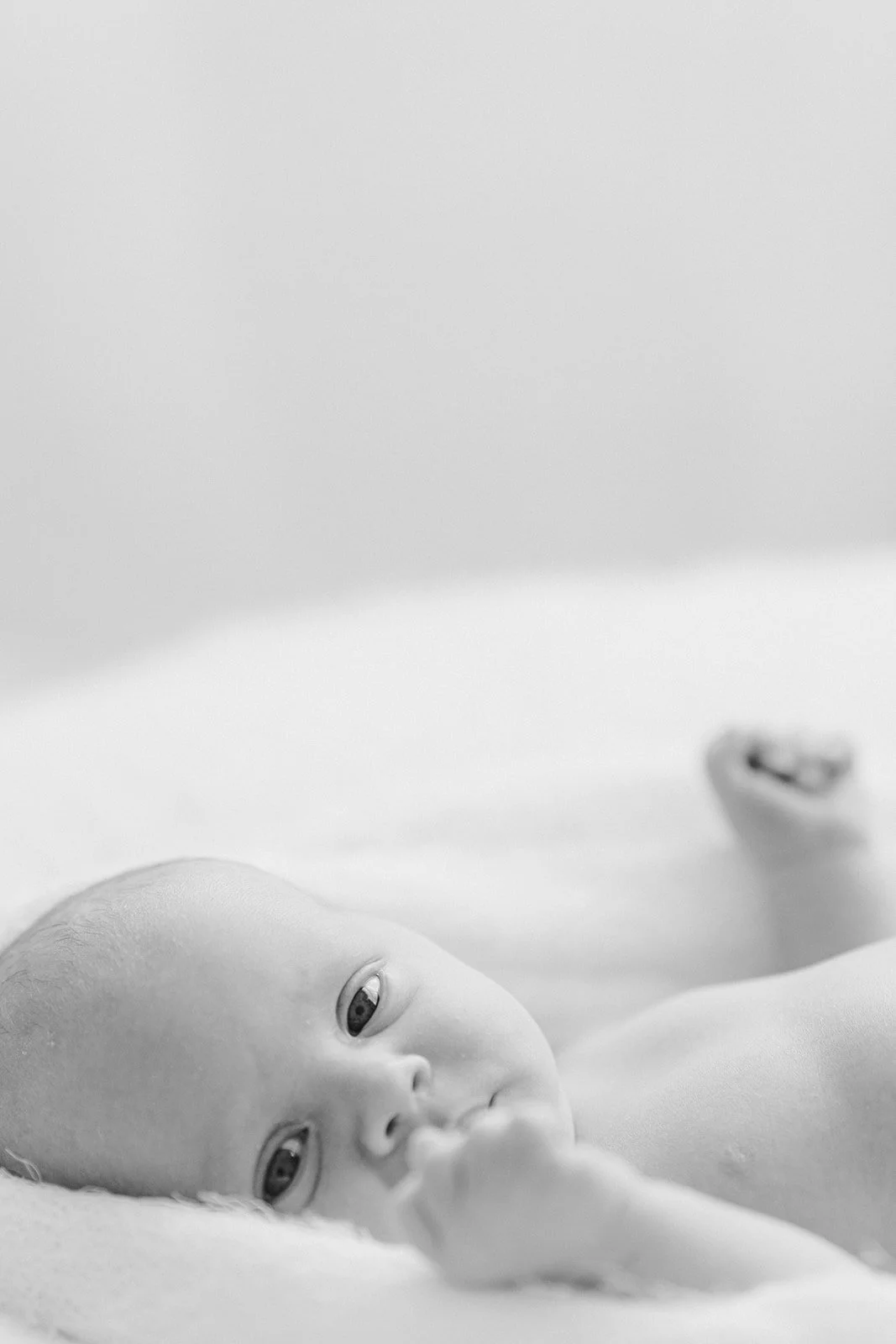 natalie_silvester_photography_waterer_family_studio_session (50 of 153)_websize.jpg