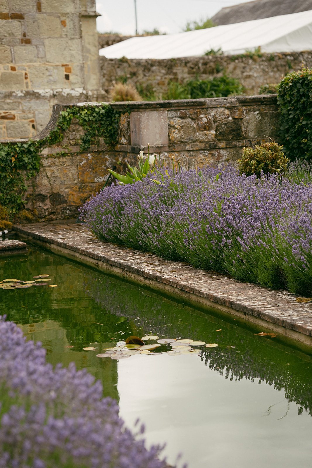 natalie_silvester_photography_Henry&Olivia_kingston_manor_wedding (33 of 706)_websize.jpg