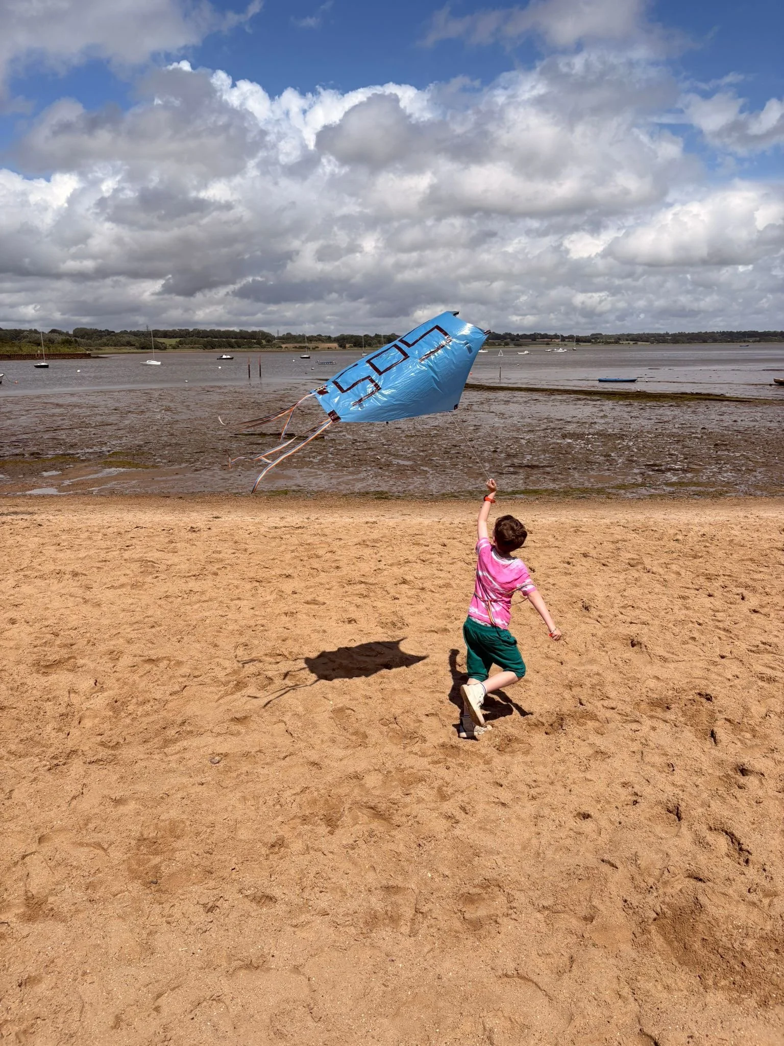 Pride Kites 1 MB - APPROVED.jpeg
