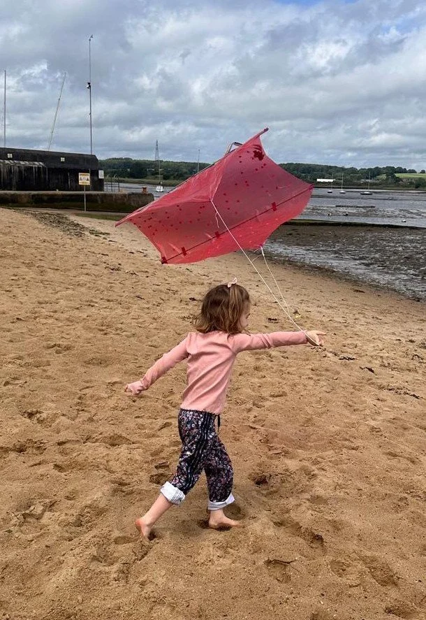 Pride Kites 4 LdBB - APPROVED.jpg