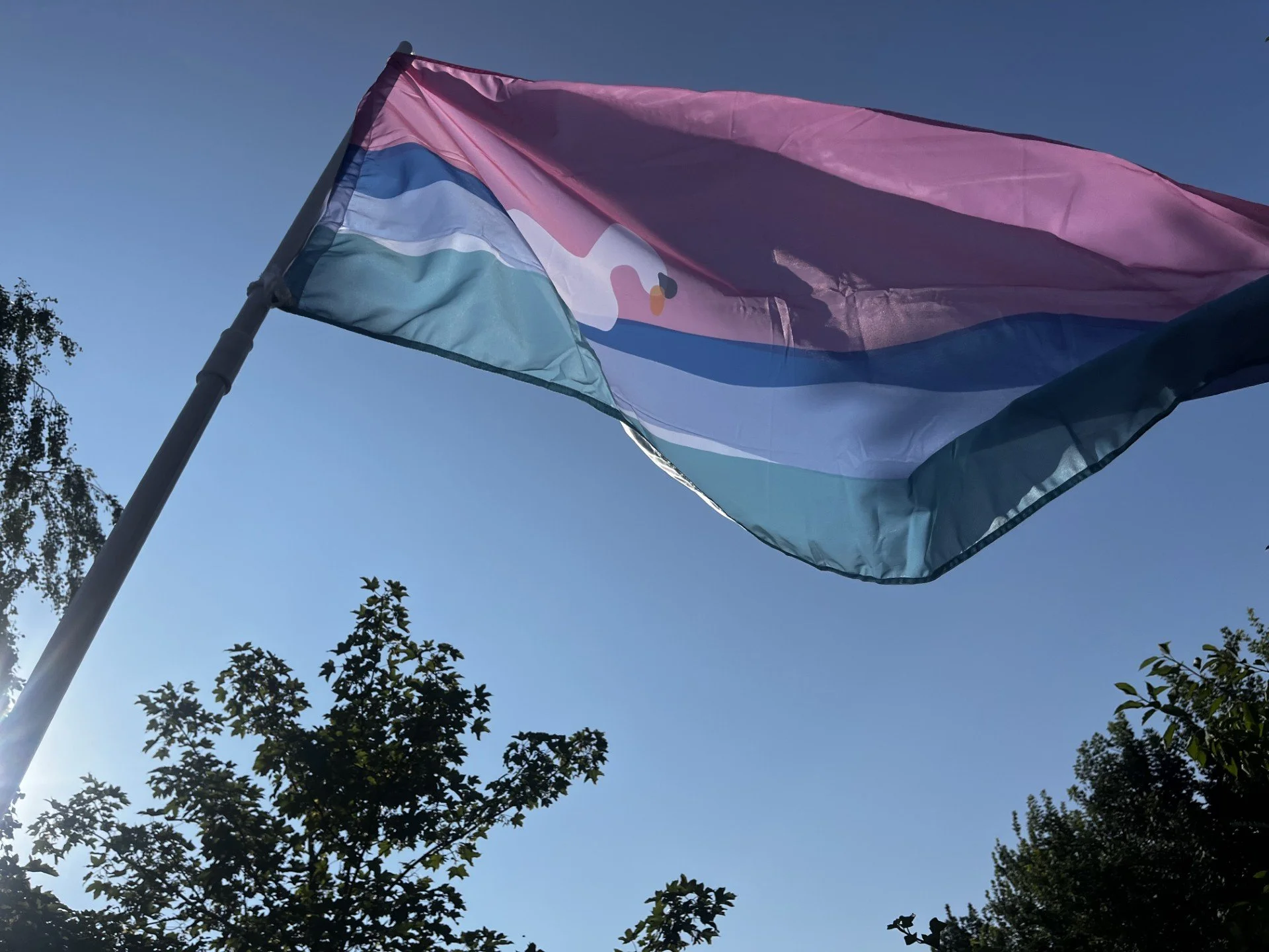 Final Flag Flying 2.jpg