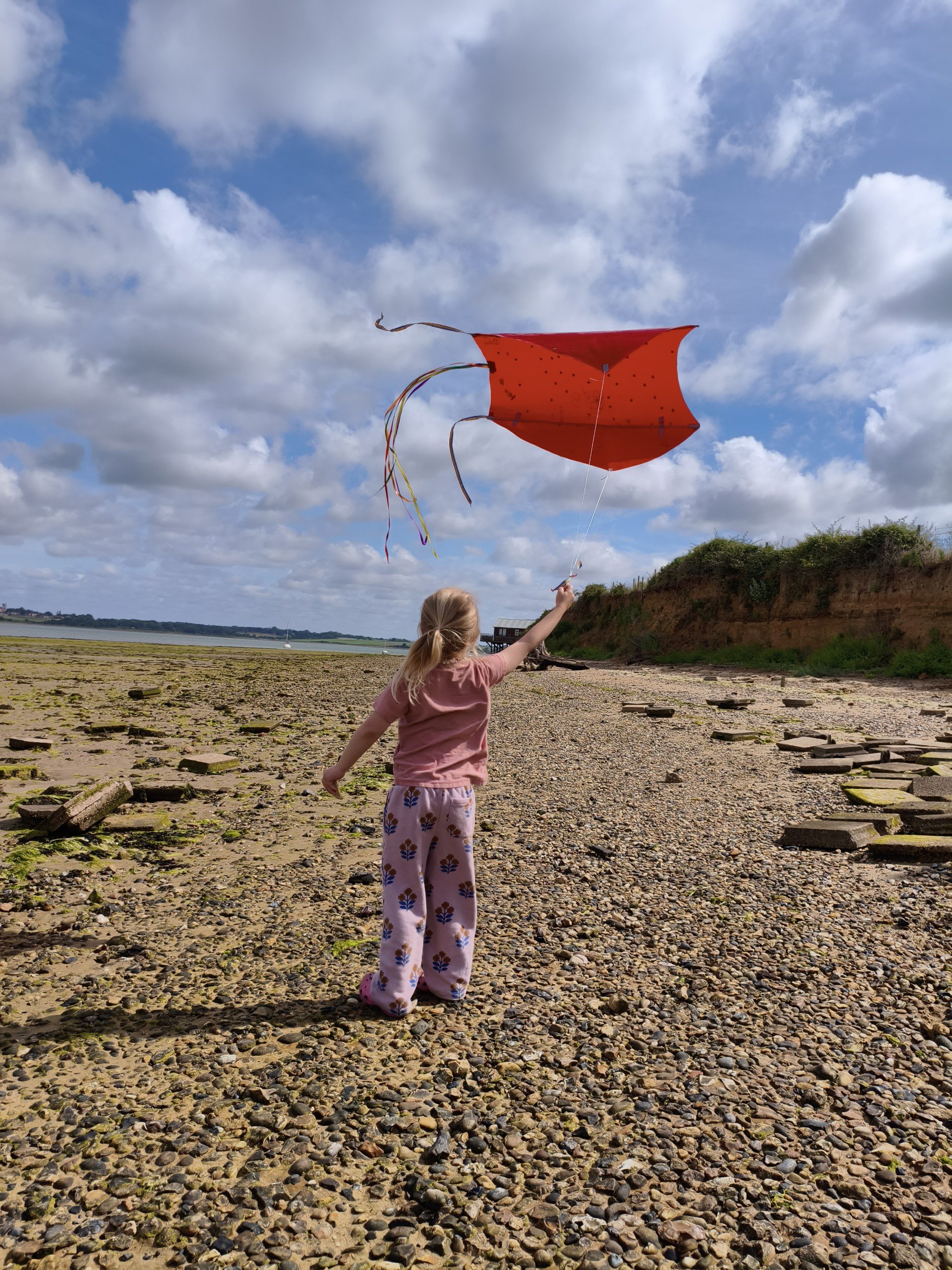 Pride Kite HR TT 3 - APPROVED.jpg
