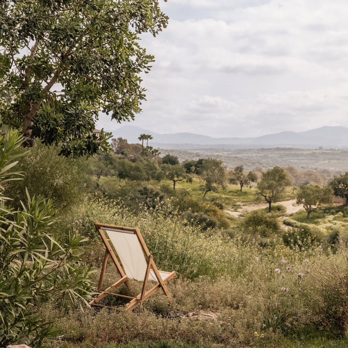 Some mornings speak in whispers. 

A breeze moves gently through golden fields. 

The soft curves of the landscape stretch out in every direction &mdash; open, quiet, alive. 

Here, in the center of Mallorca, nature sets the pace.

Colors shift with 