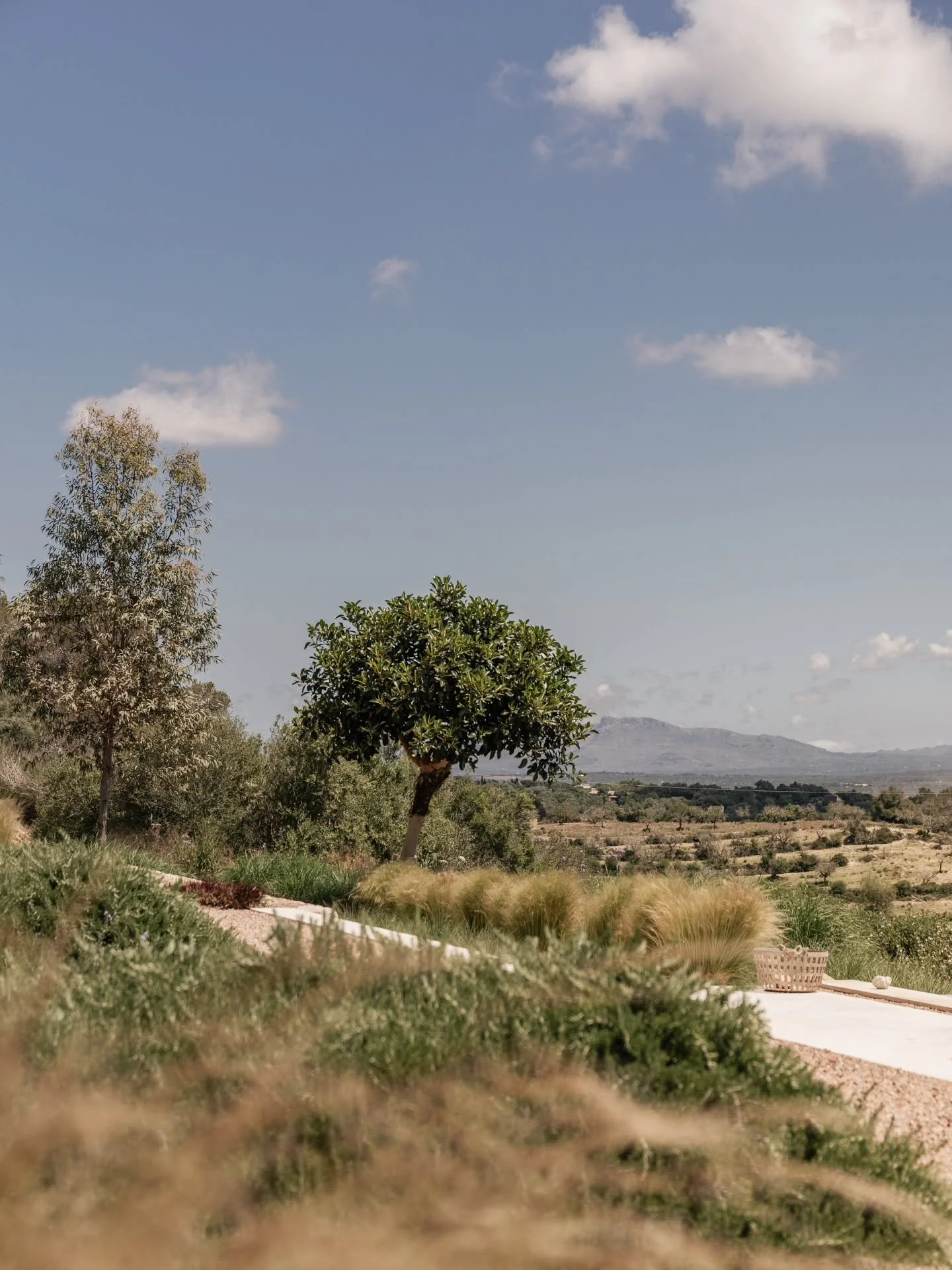 Not every view is meant to impress. 
Some are meant to quiet you &mdash; 
to remind you that stillness, 
too, is part of design. 

Here, the landscape leads. 
Lines soften, colors breathe, 
and every path finds 
its way back to the horizon. 

This is