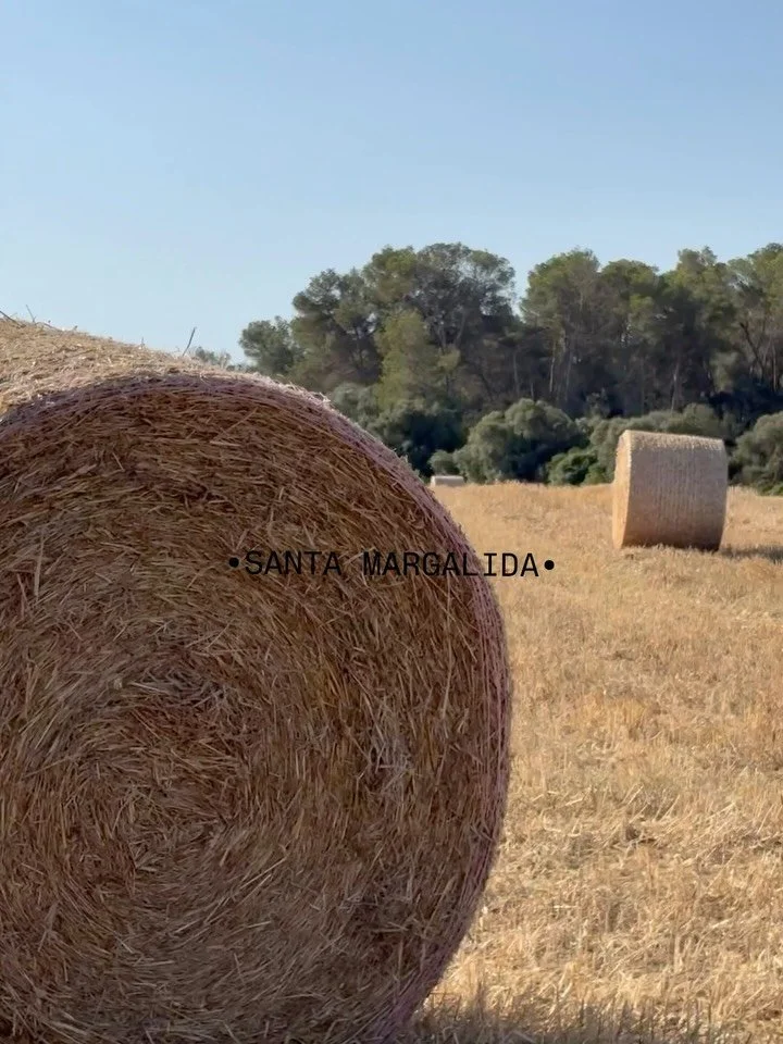 Every home begins somewhere.
With Sa Teulada, it began with the land.

An elevated position. Open in every direction.
Surrounded by protected nature, where privacy is already part of the landscape.
Before designing anything, we spent time understandi