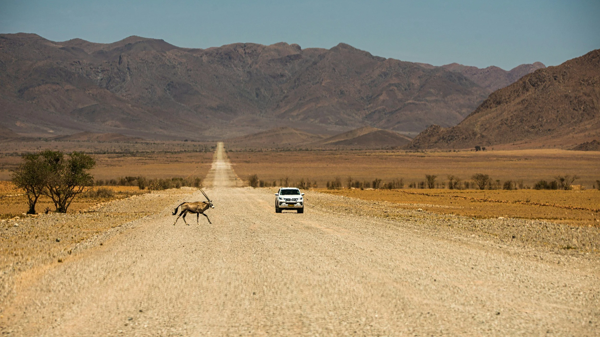 Viaggio in Namibia con safari nell’Etosha e visite mirate: Namib, Damaraland e Skeleton Coast.