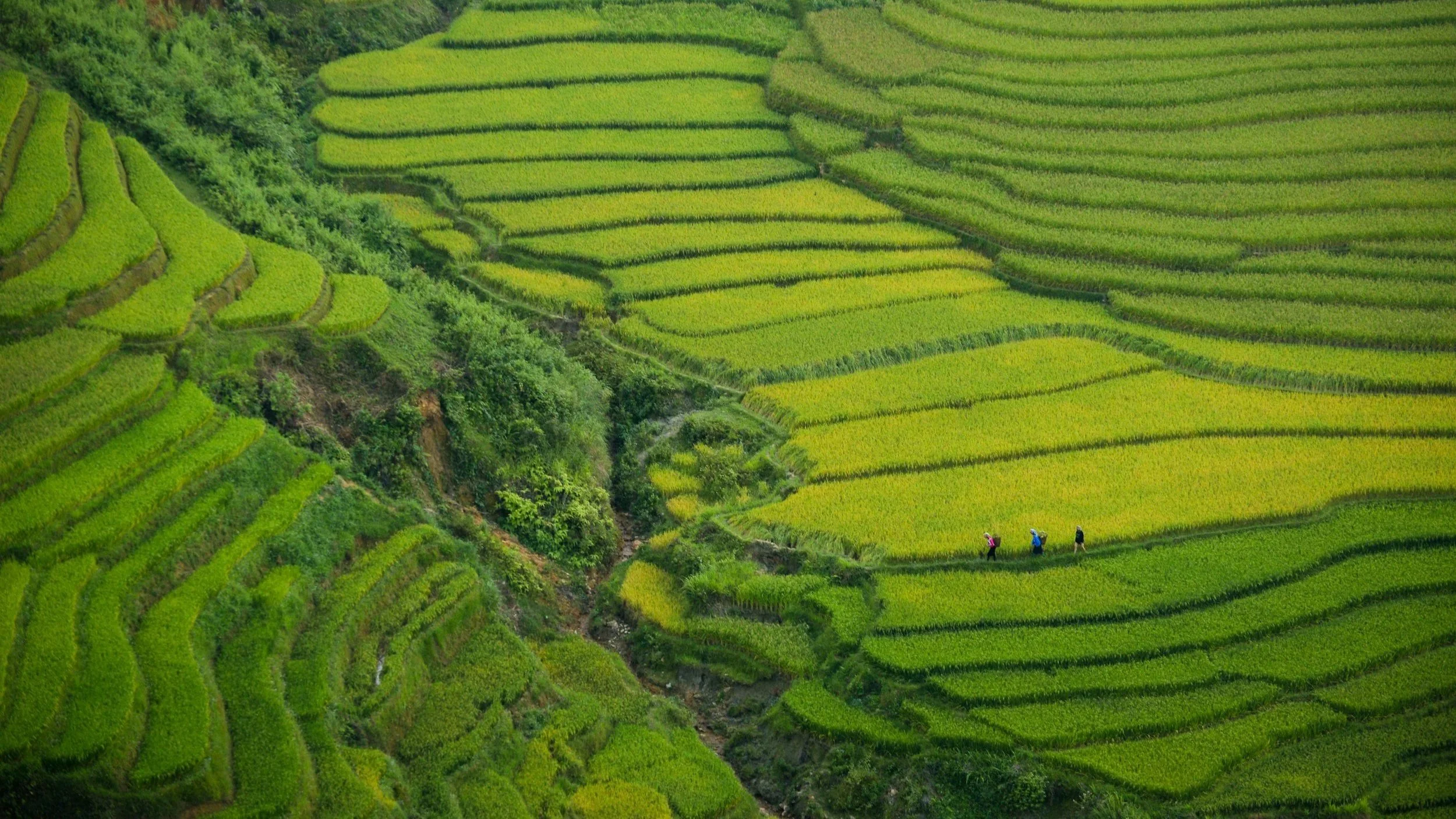 Viaggio in Vietnam, creato su misura da nord a sud