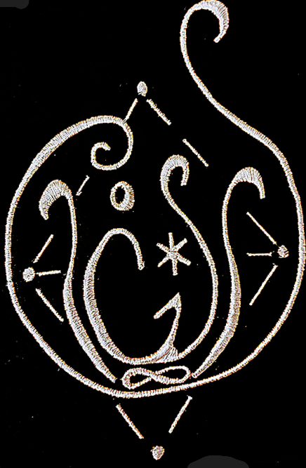 Synergistick Experience