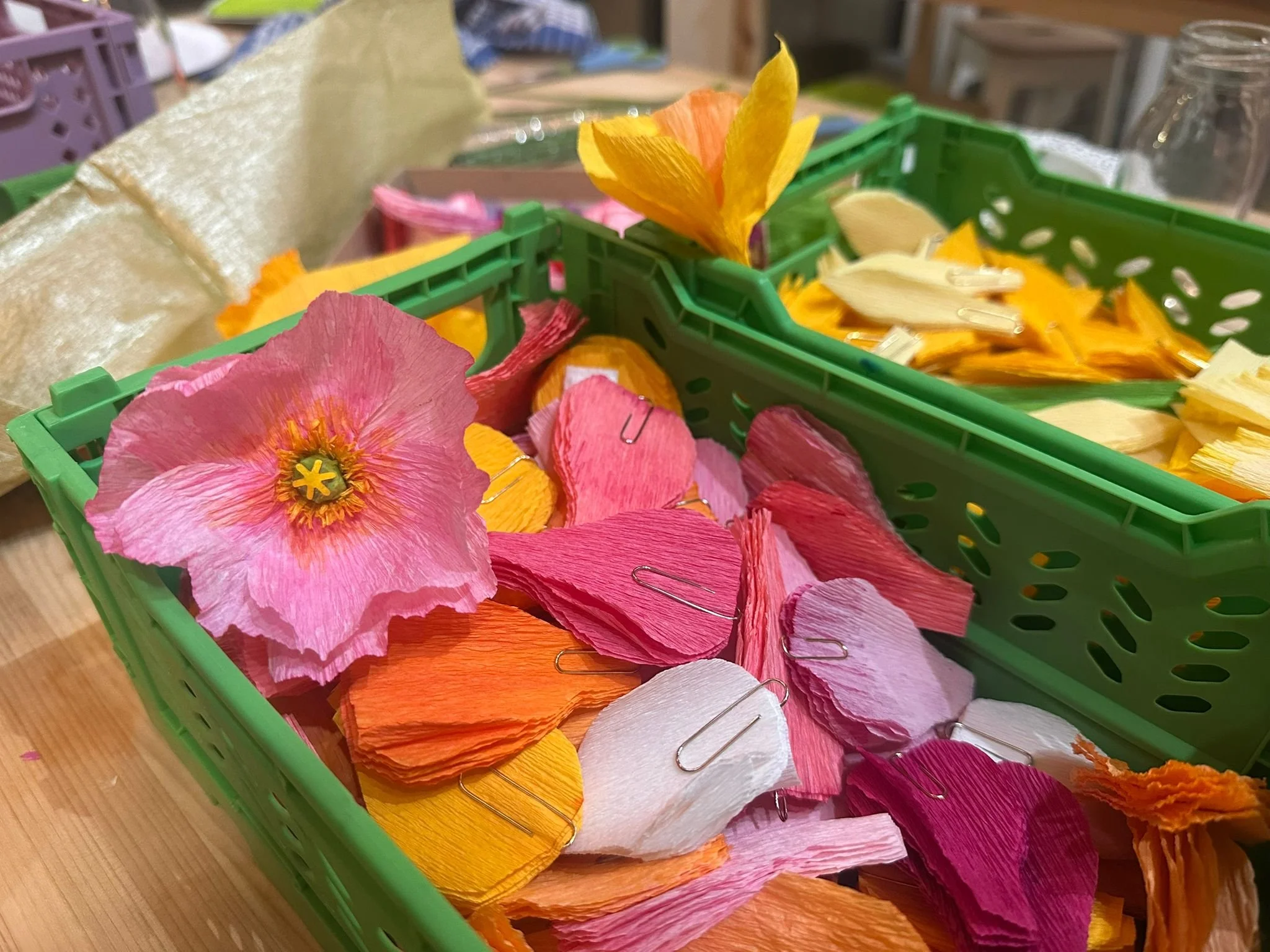 IMG-20260119-WA0014 (1).jpg