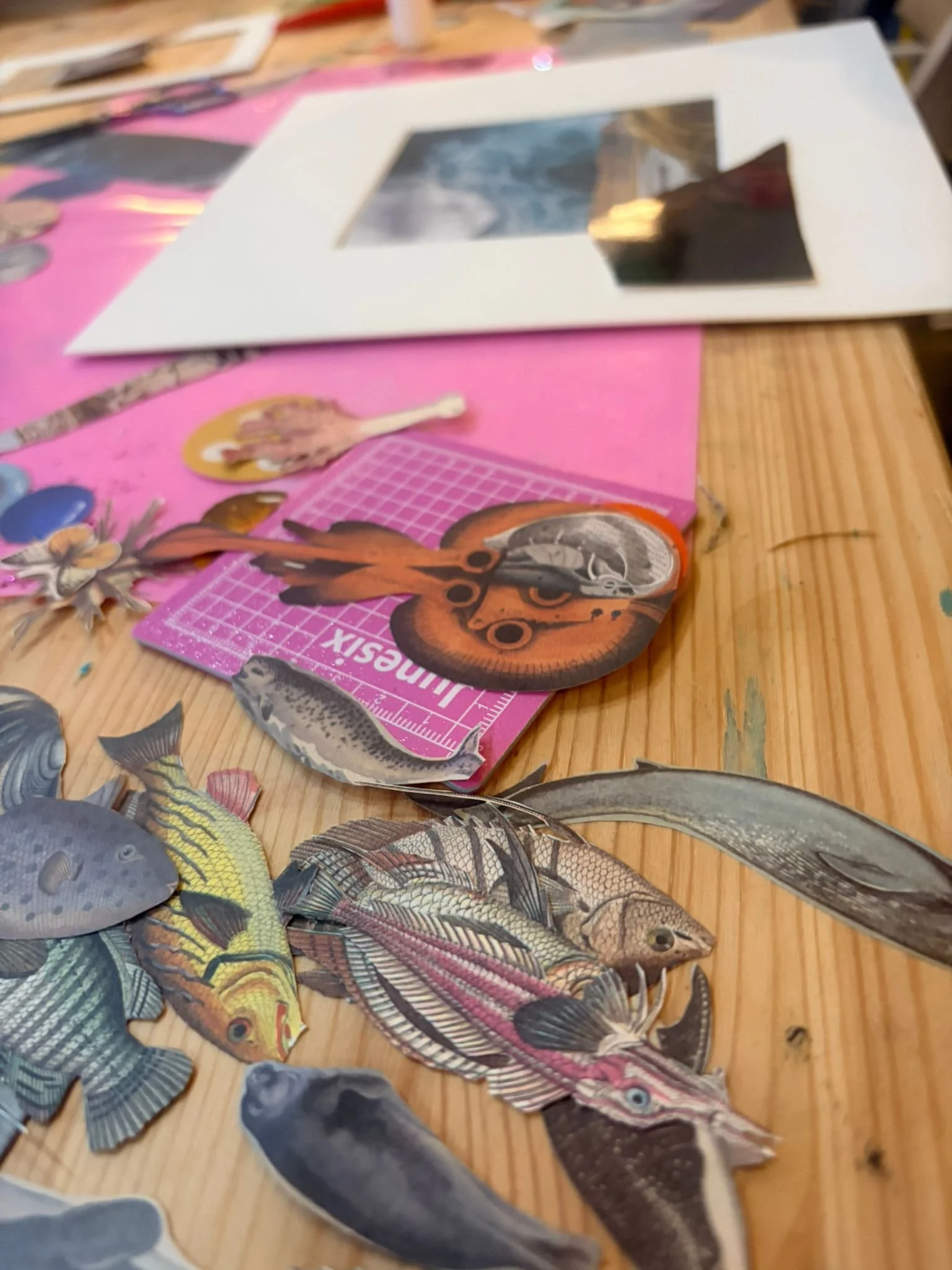 Photo from Jessica Black (6).jpg