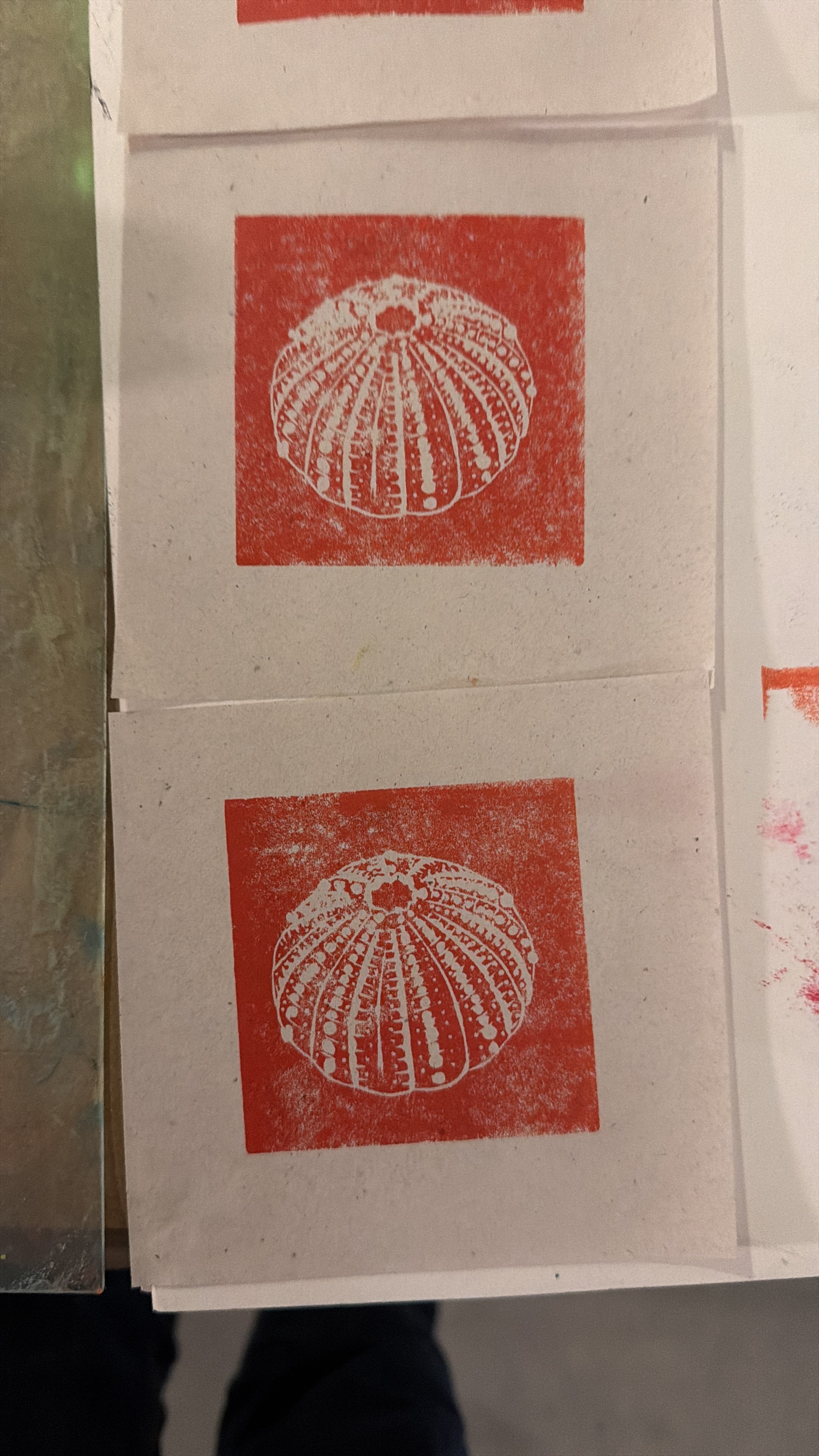 B1BCF739-3D05-46C0-B96D-4932690AE09E.jpg