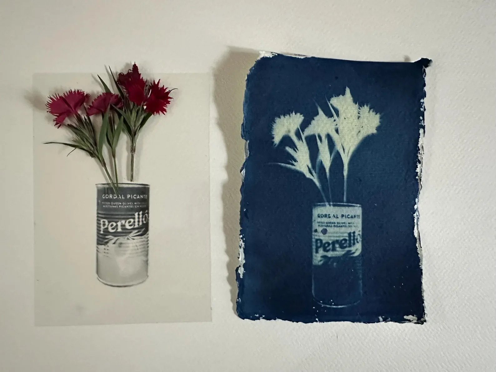 Cyanotype Basic Kit - 3 x coated papers