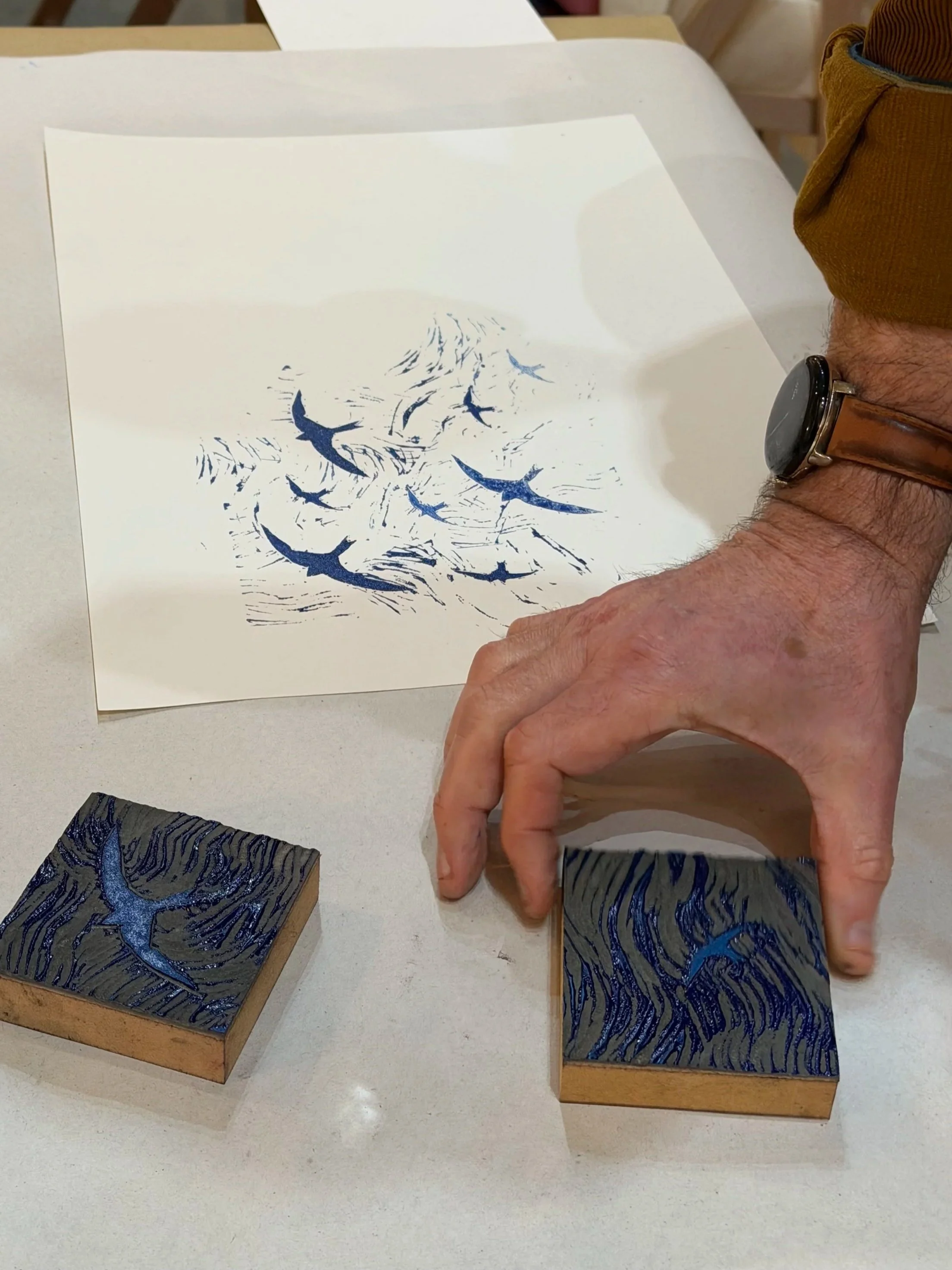 A series of nine tetrapak prints on paper, each depicting various objects including fish, fruit, a glass, a pencil, and a hummingbird, arranged in a grid on a wooden surface.