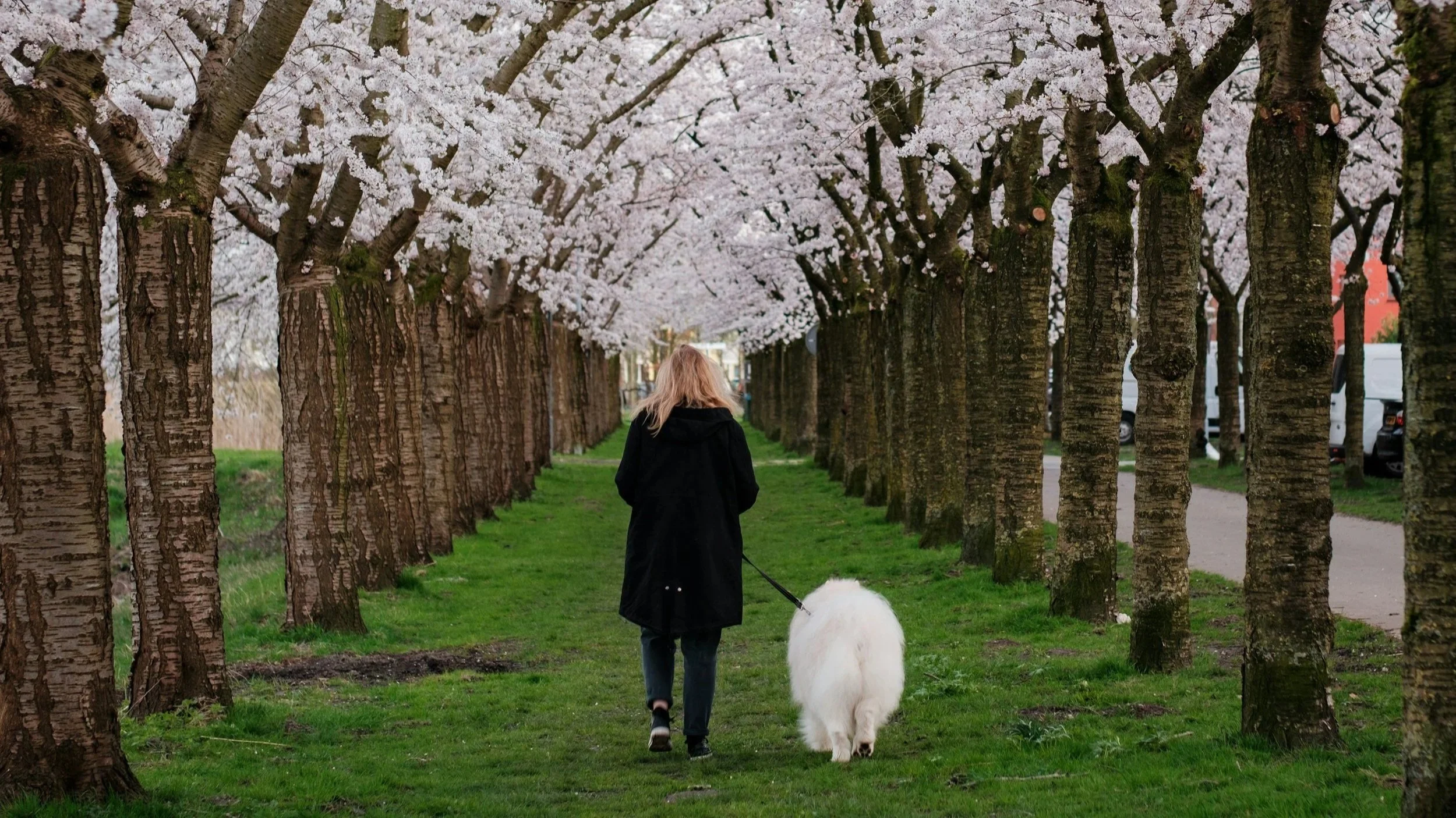 Ergänzen statt verzichten: Mit diesen einfachen Zielen gelingen Veränderungen