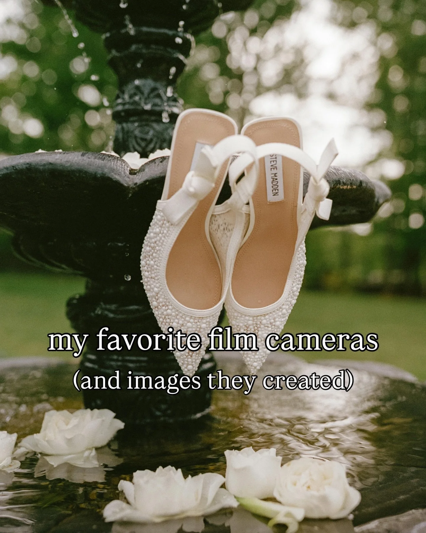 People often ask which film camera is my favorite, but the truth is that each one sees the world a little differently.

Some create soft, dreamy images. Some feel nostalgic and imperfect. Others are incredibly sharp and timeless. Every camera in my c