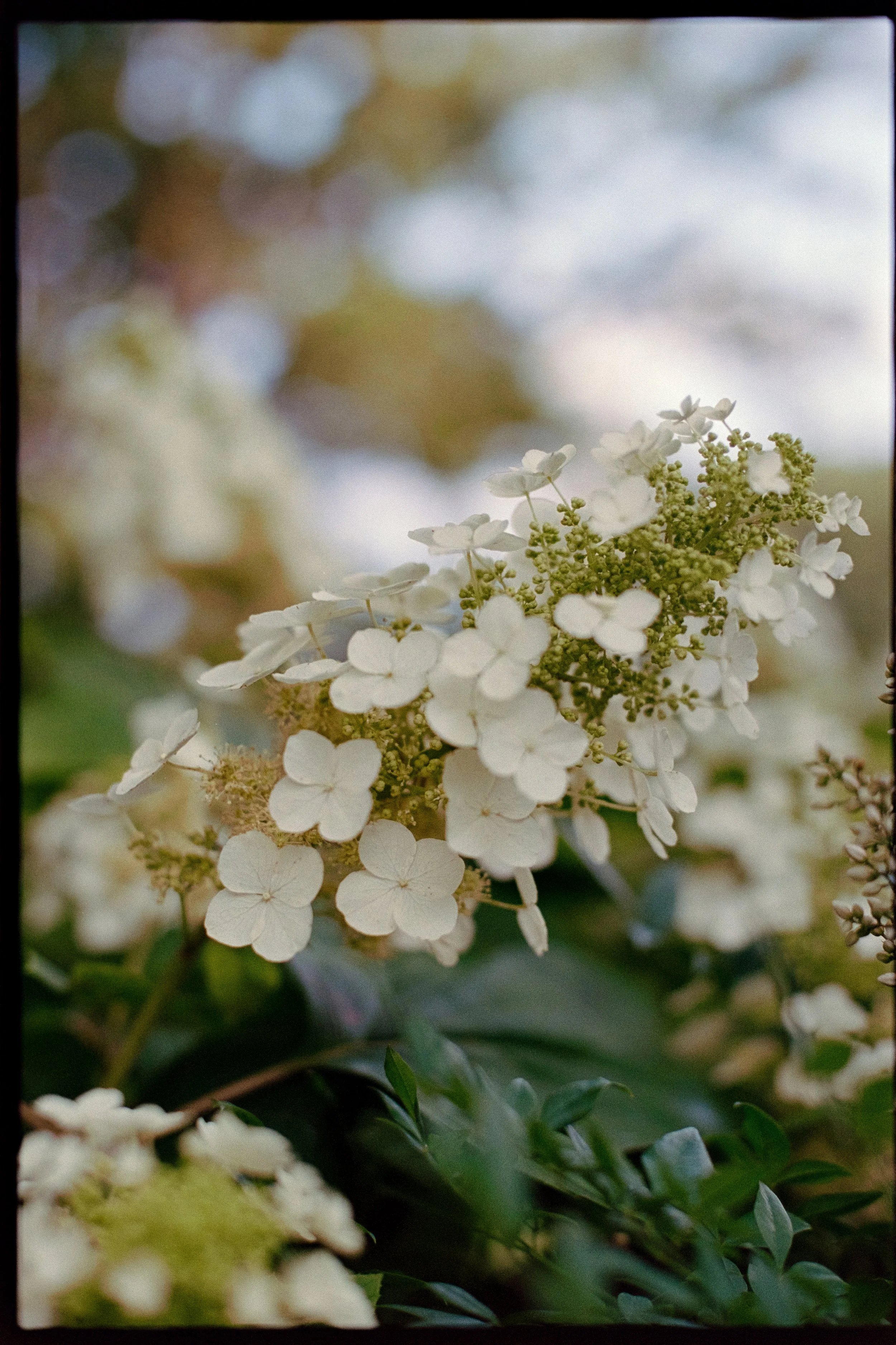 amanda-taylor-wedding-film-long-hollow-gardens-nashville-tori-lynne-photography-99.jpg