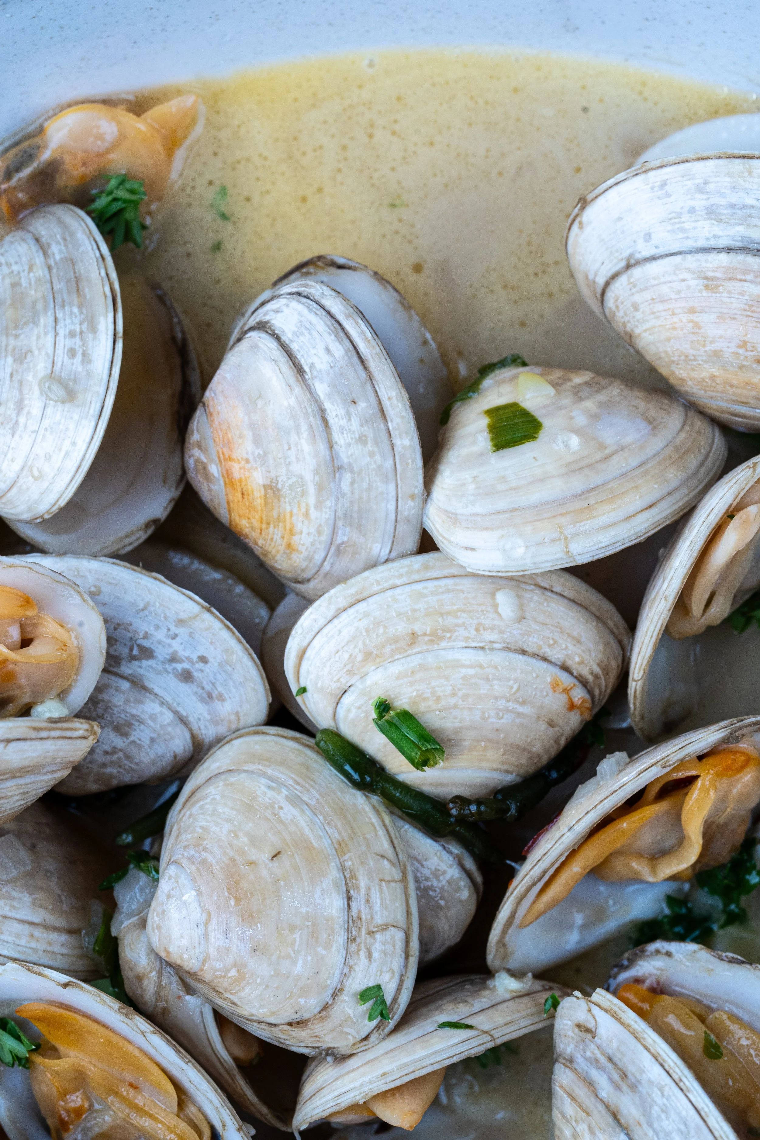 Close-up of fresh clams, food photography by Loraine Cox styled for hospitality and restaurant clients.