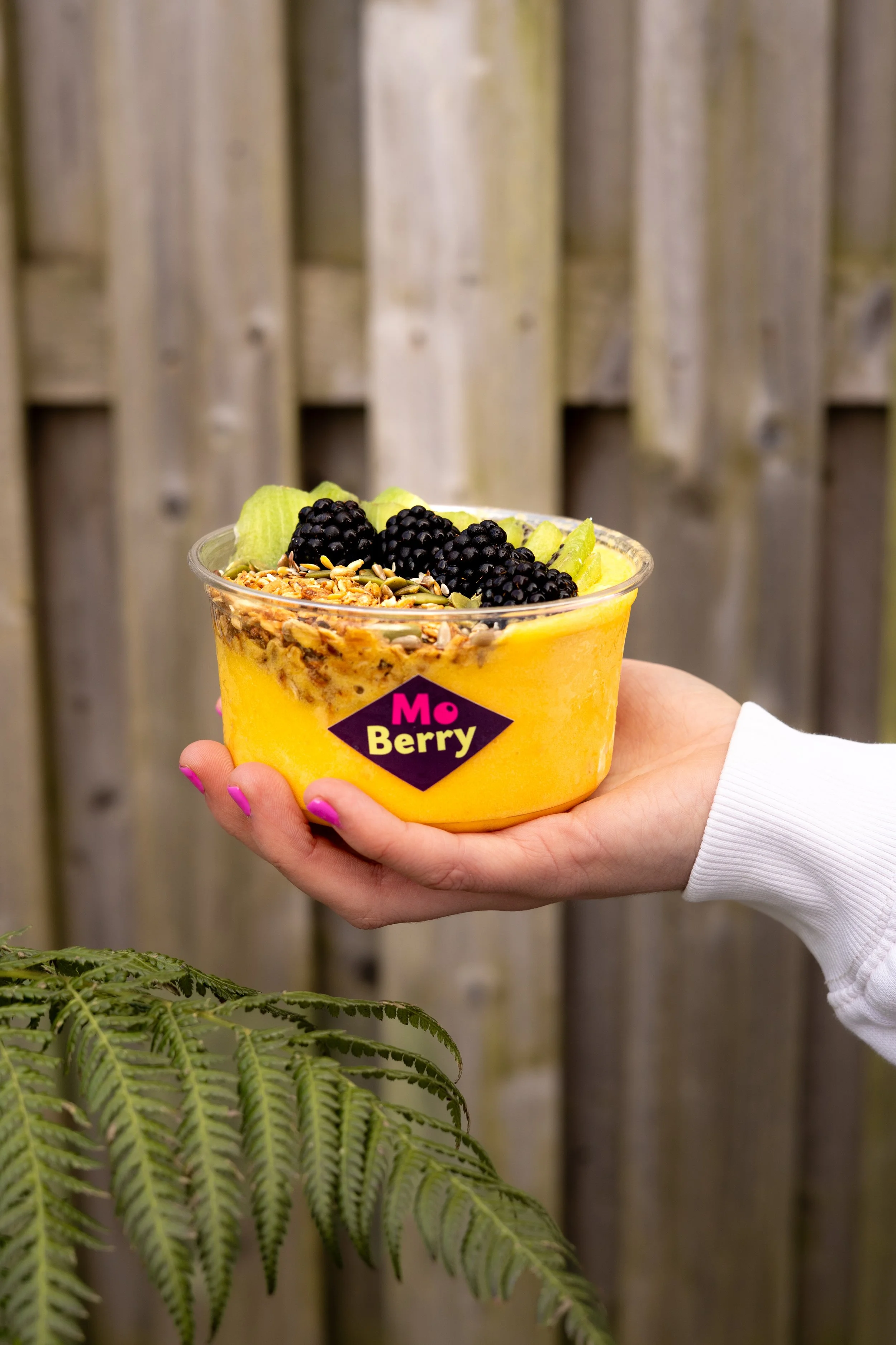 Moberry Web-34.jpg
