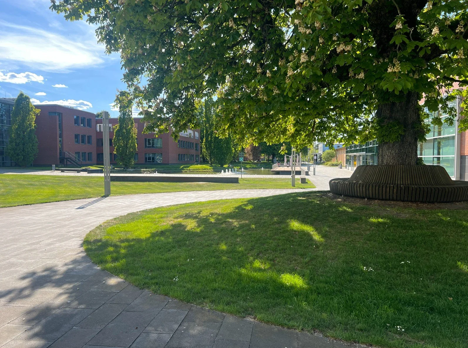 Nachhaltig gestaltete Parkanlage mit großem Baum, rundem Sitzbereich und ansprechenden Freiflächen für Besucher