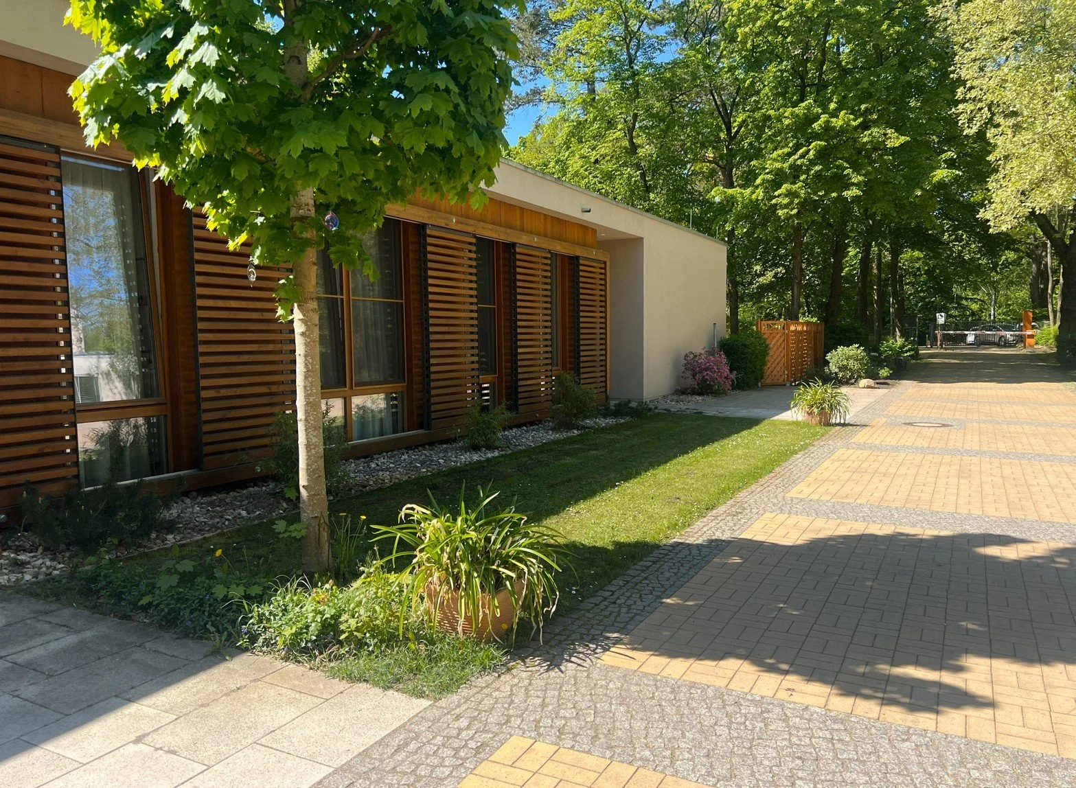 Gepflasterter Fußweg mit klarer Linienführung und strukturierter Gestaltung