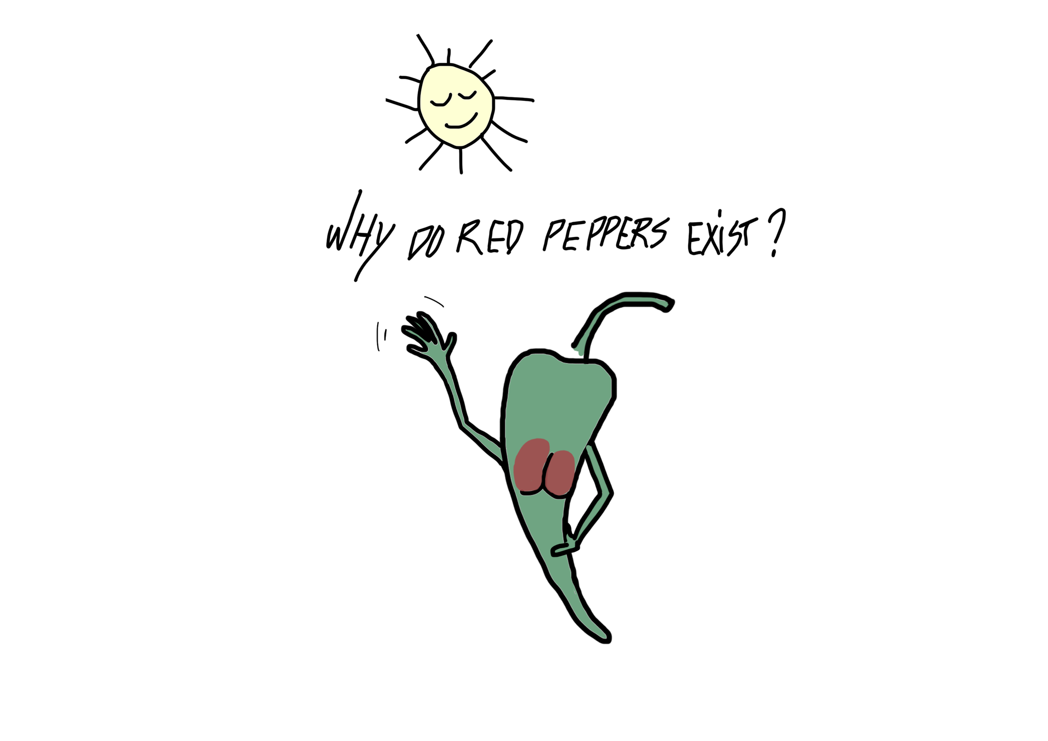 68869127_665727993906729_9193065248670613504_n.png