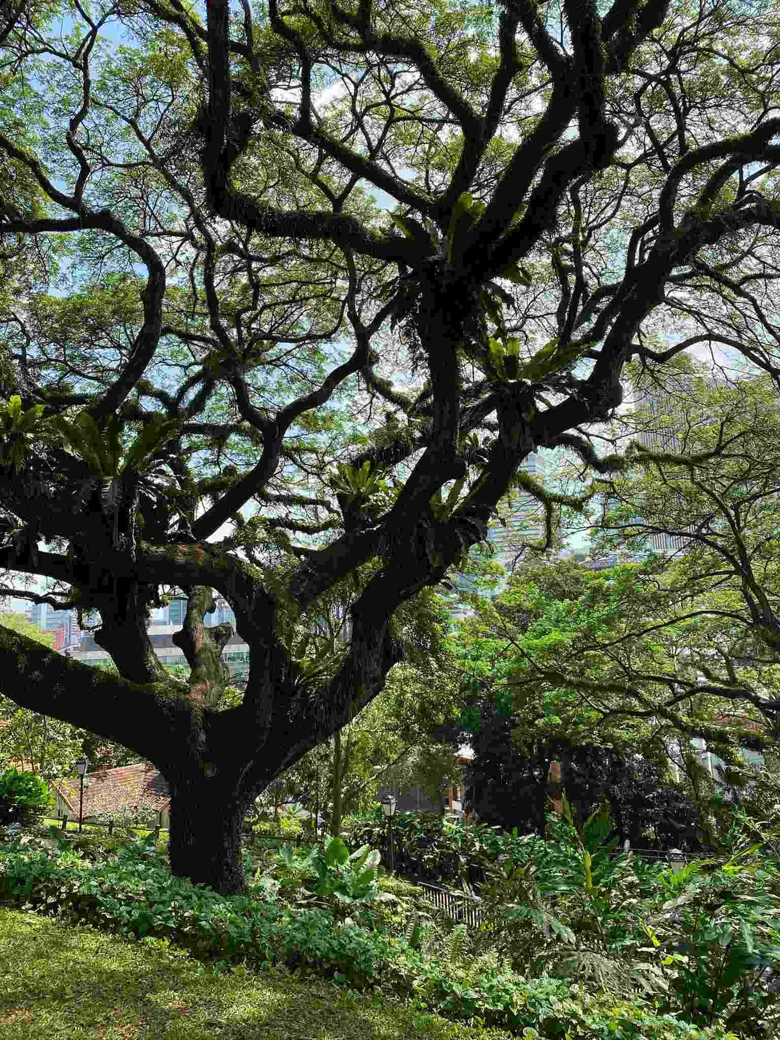 Informiert als Expat in Singapur starten mit meiner Hilfe.