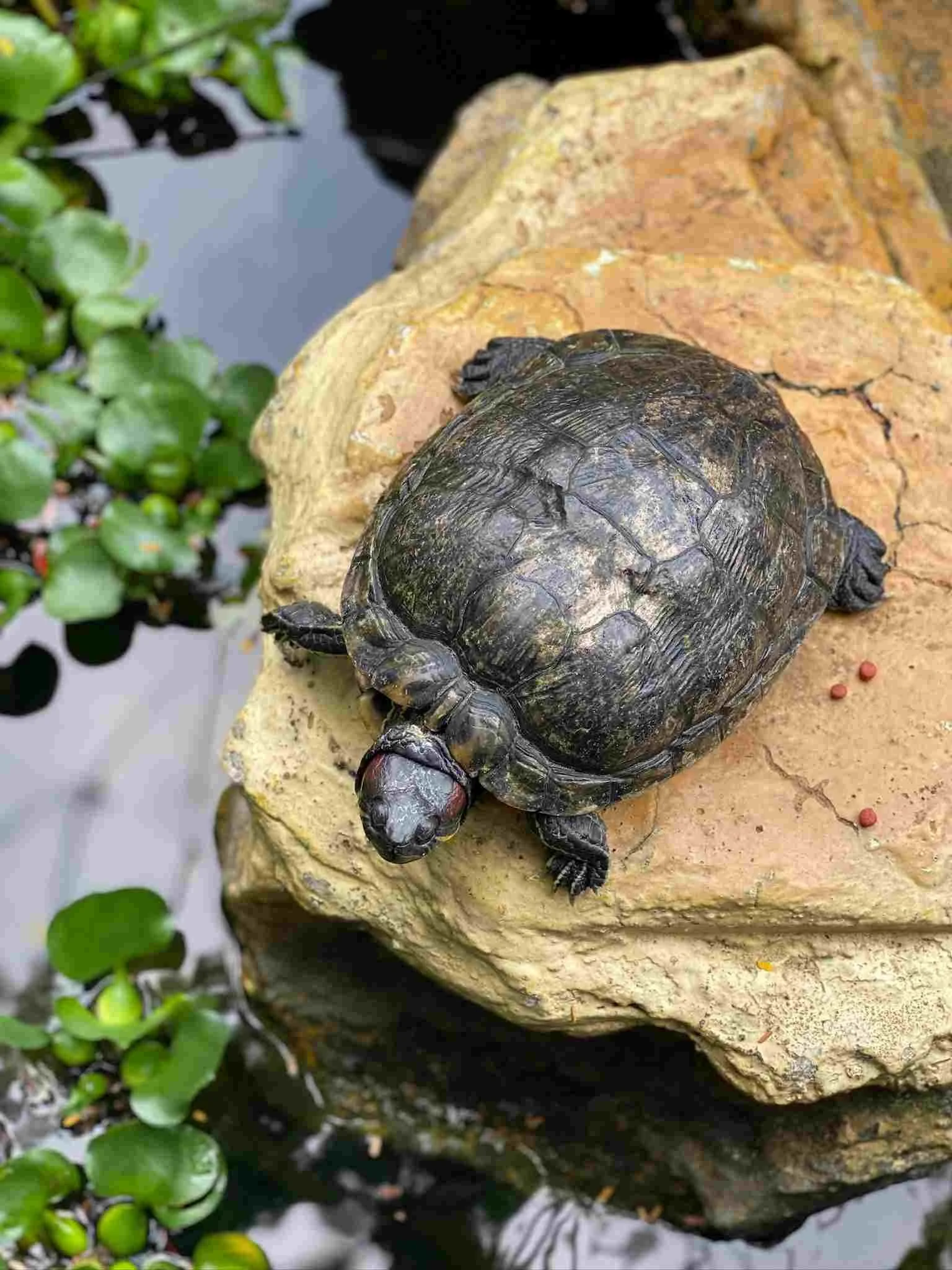 Organisierte Abreise und entspanntes Ankommen in Singapur.