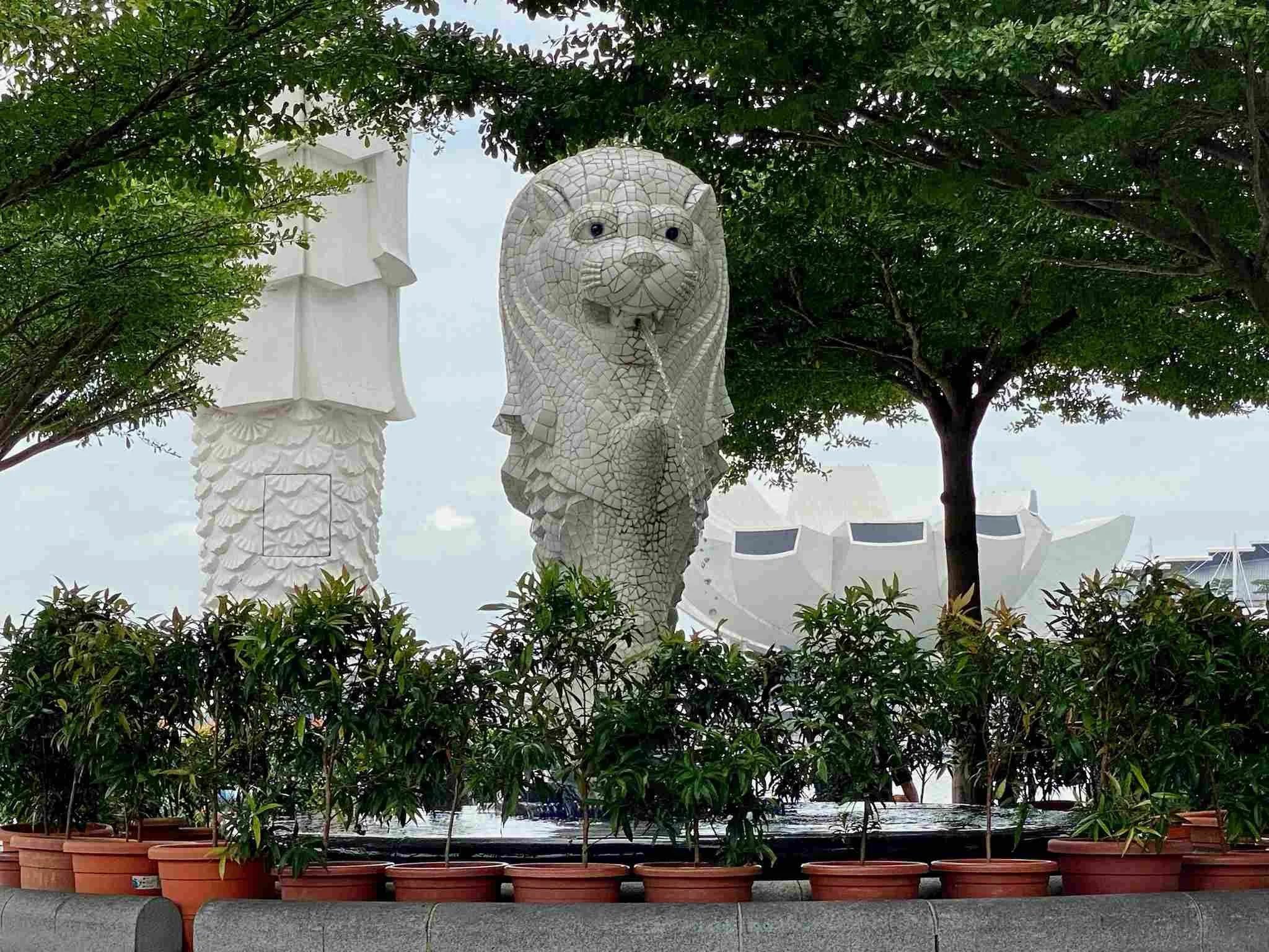 Dein entspanntes Ankommen als Familie im Expat-Leben in Singapur.