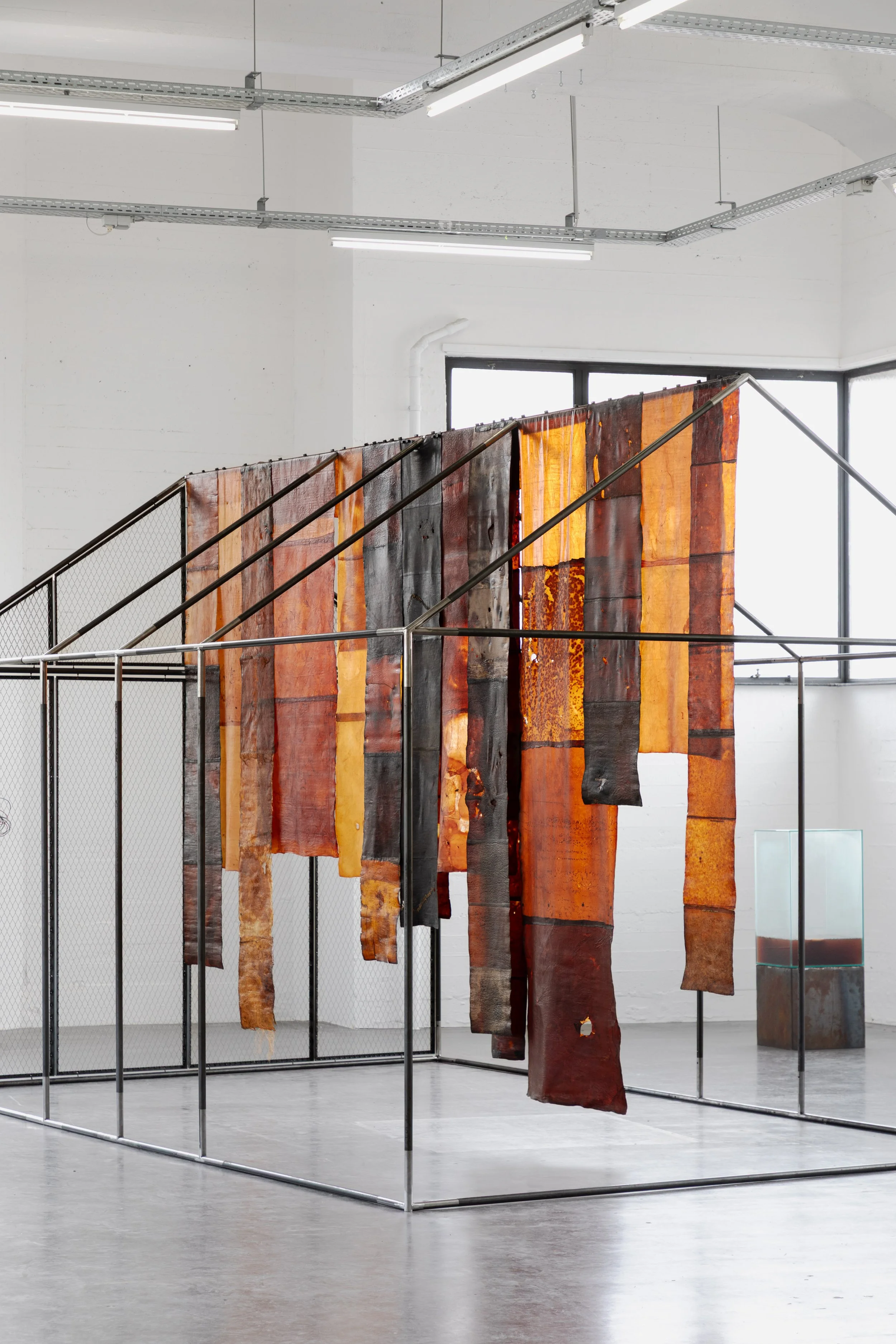 Wiels-Magical Realism-Photo EW-96.jpg