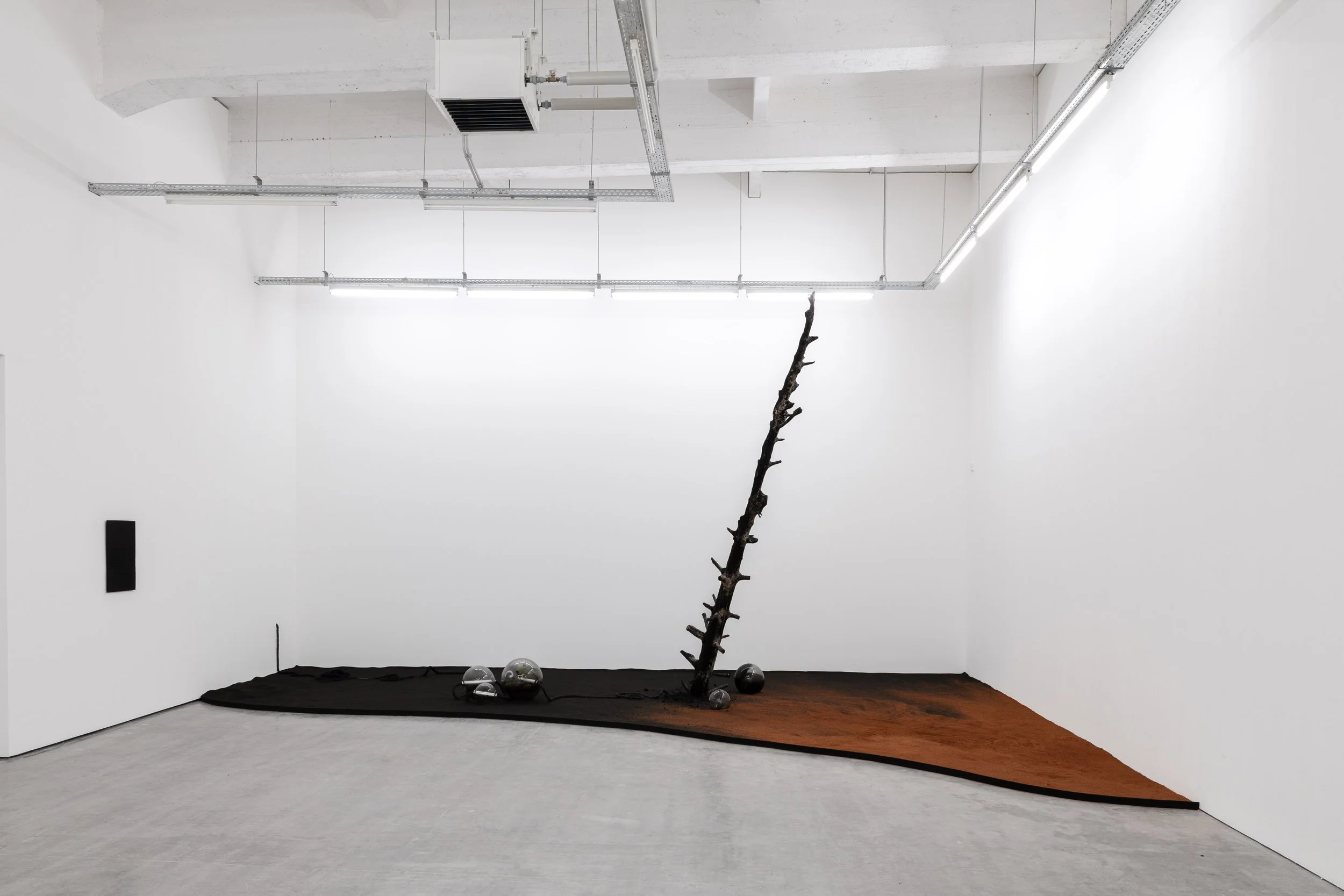 Wiels-Magical Realism-Photo EW-1.jpg