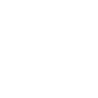 Icon of a globe with a speedometer in front of it, representing global speed or internet speed.