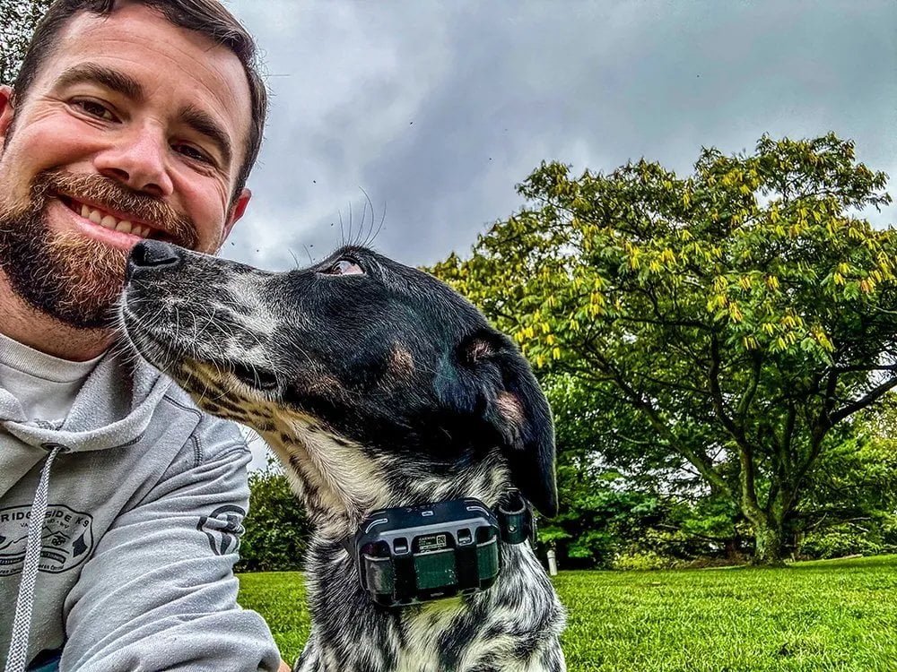 Trainer guiding dog through obedience drills