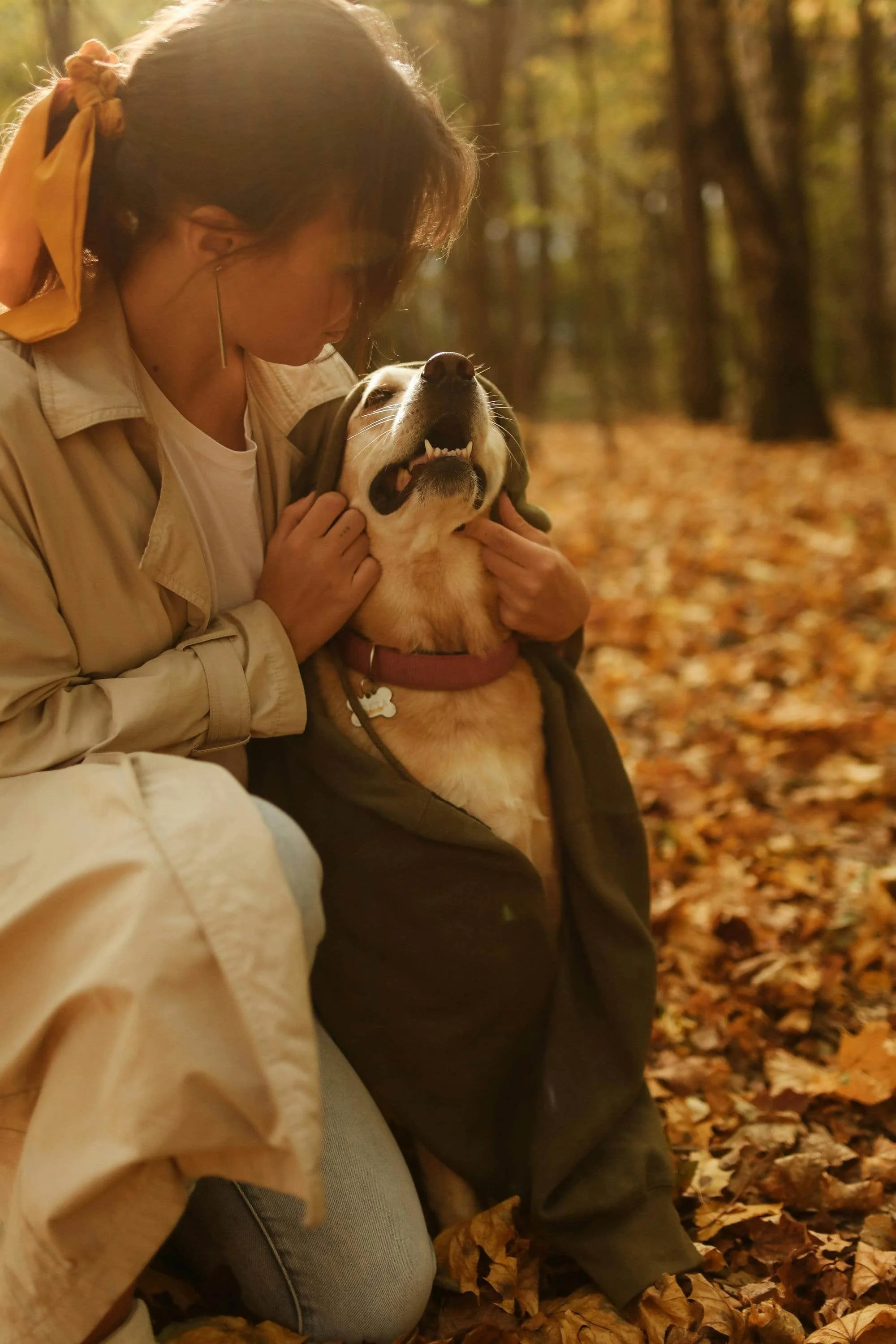 Trainer guiding a dog through obedience practice during a private session.