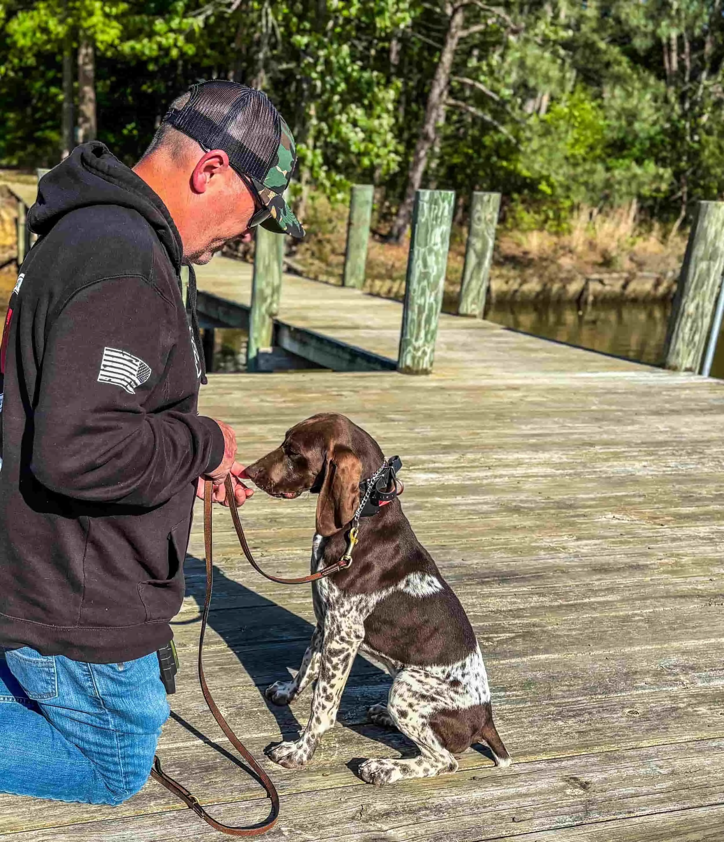 Trainer guiding dog through obedience drills