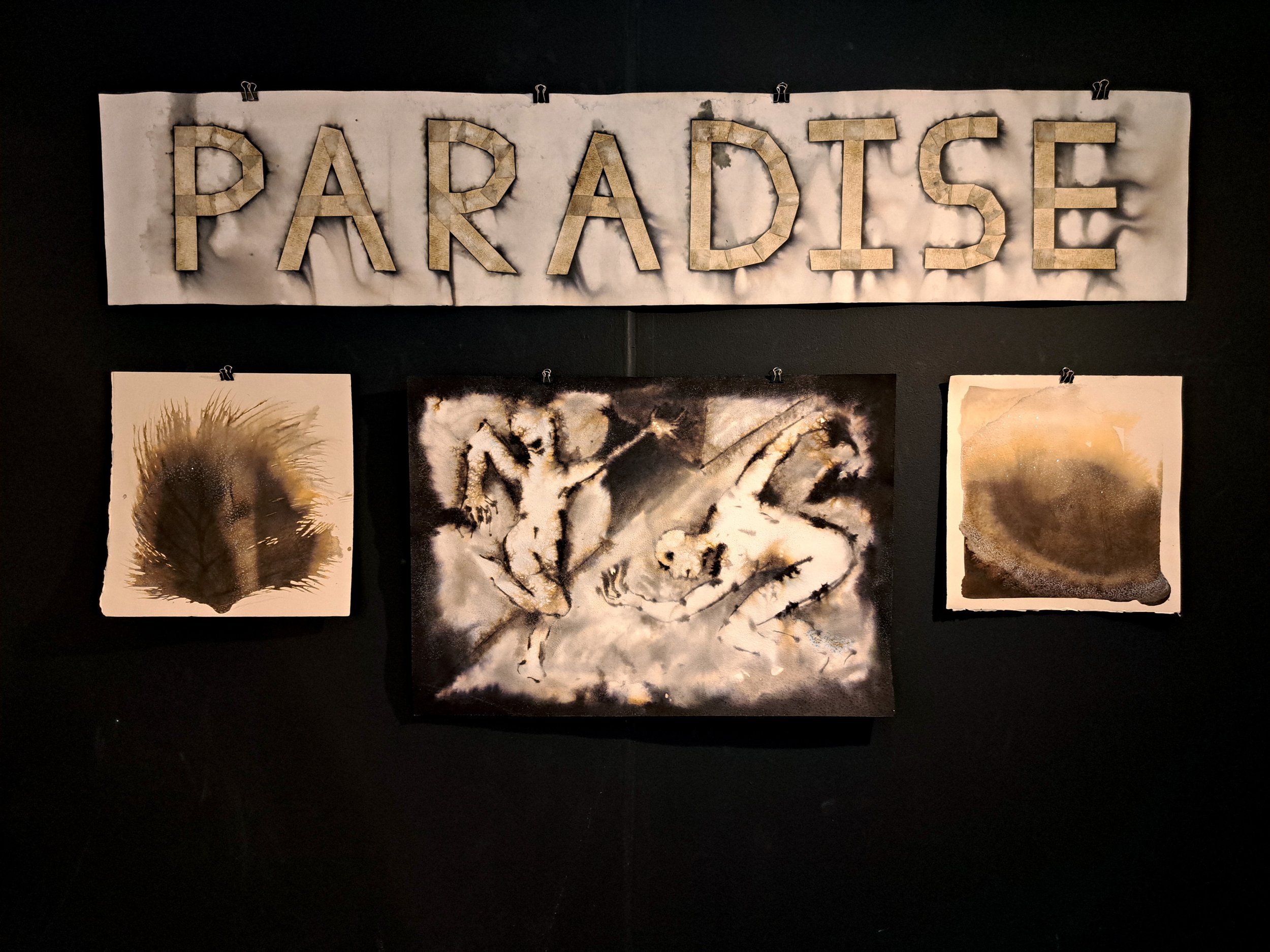 paradise.jpg