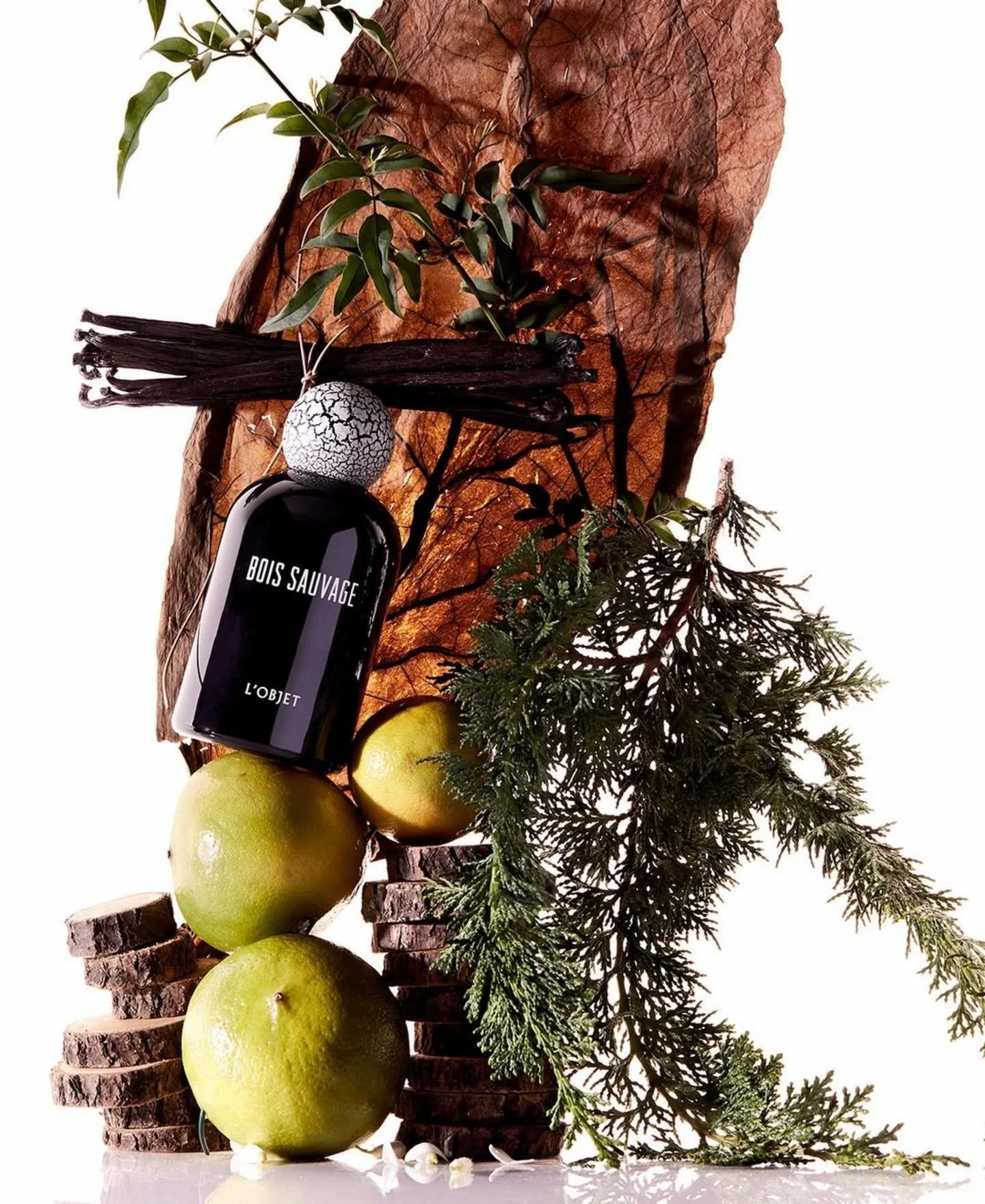 BOIS SAUVAGE. 
A walk in the forest after the rain 🤎 

A wild landscape brought to life through raw notes of Italian bergamot and wild lavender &mdash; cypress forests infused with heady jasmine absolute and vanilla, grounded in tobacco and spices ?