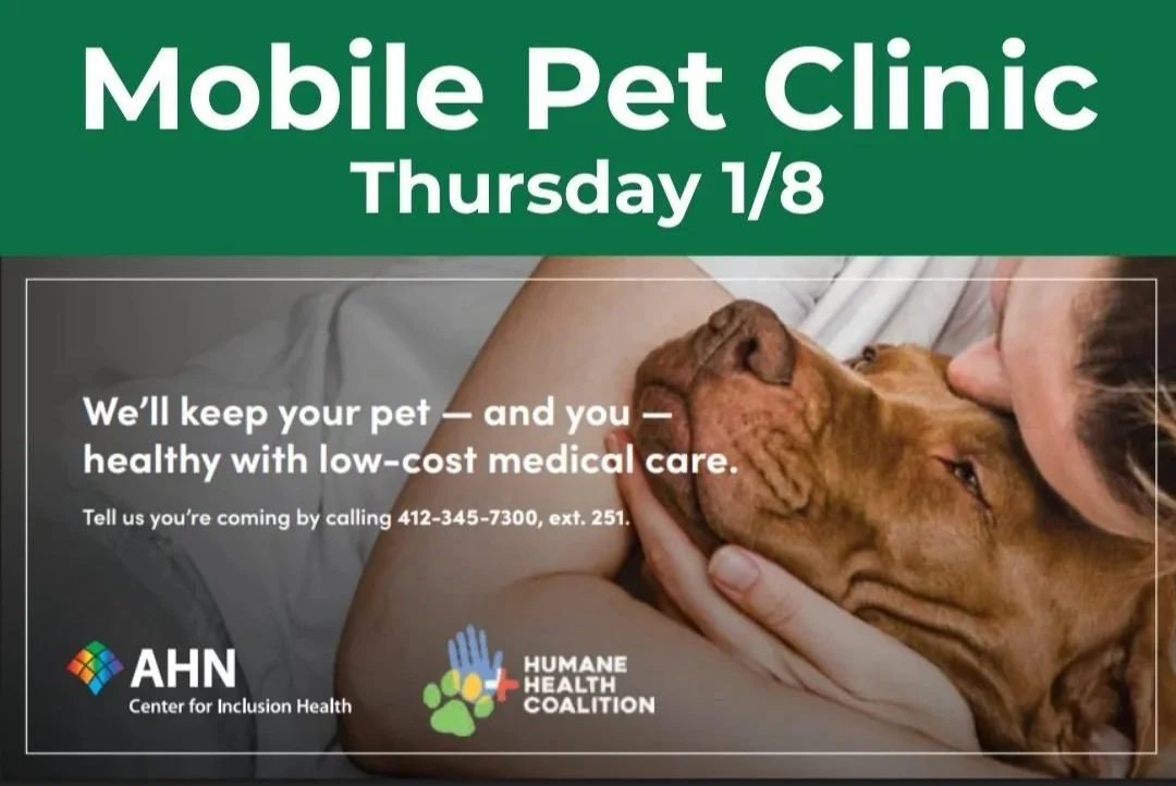 Mobile Pet Clinic